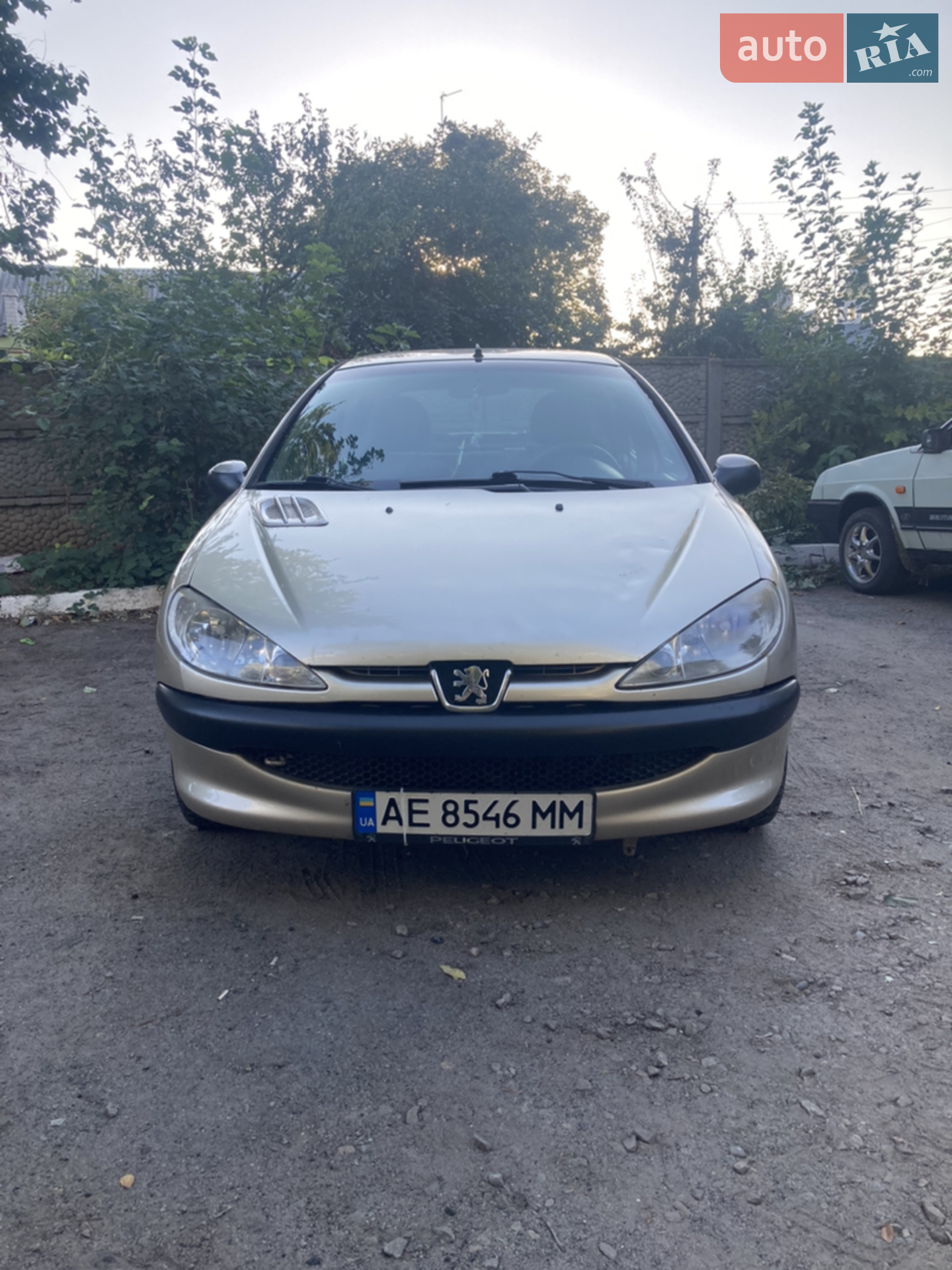 Peugeot 206, 2009