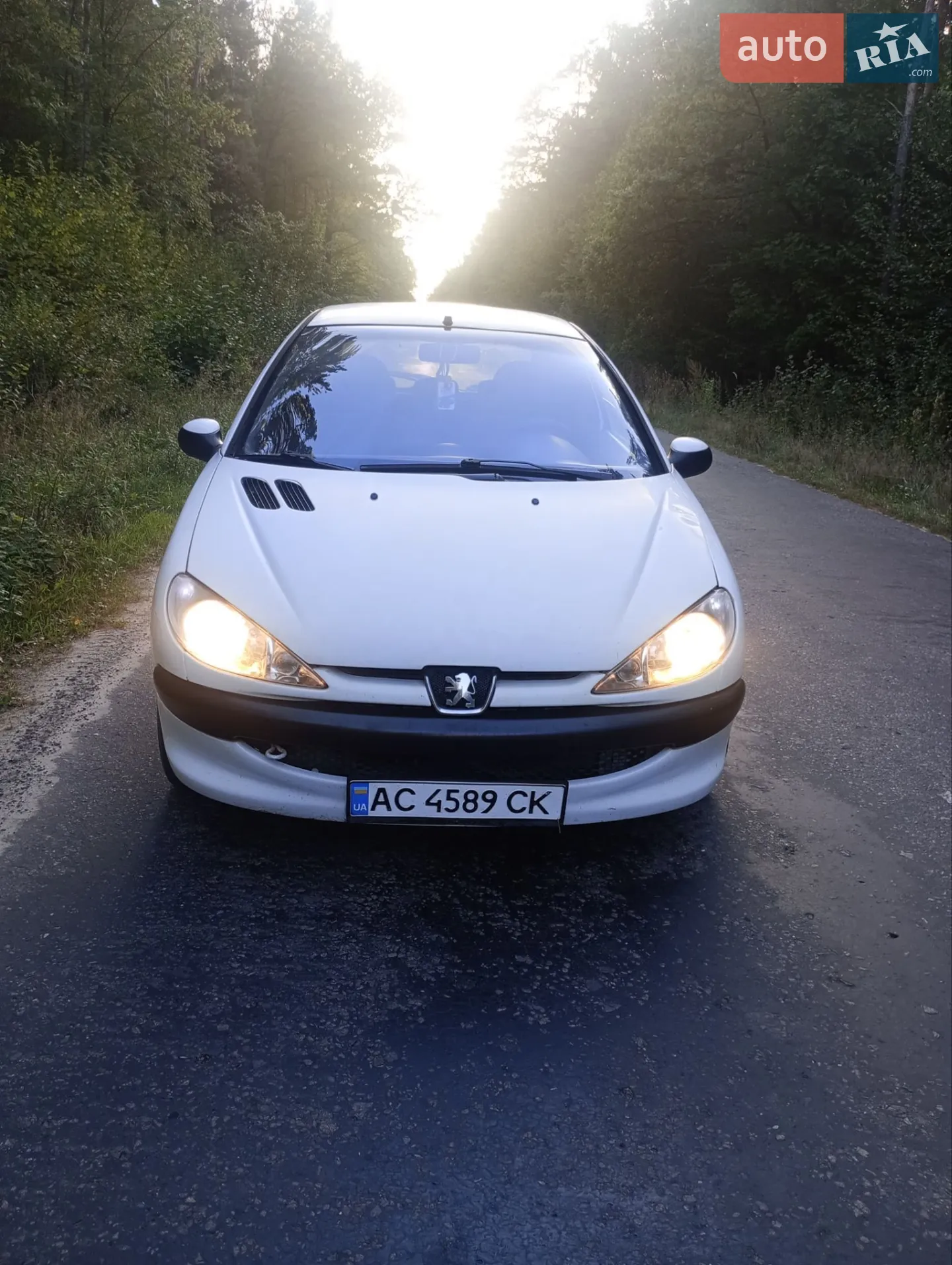 Peugeot 206, 2004
