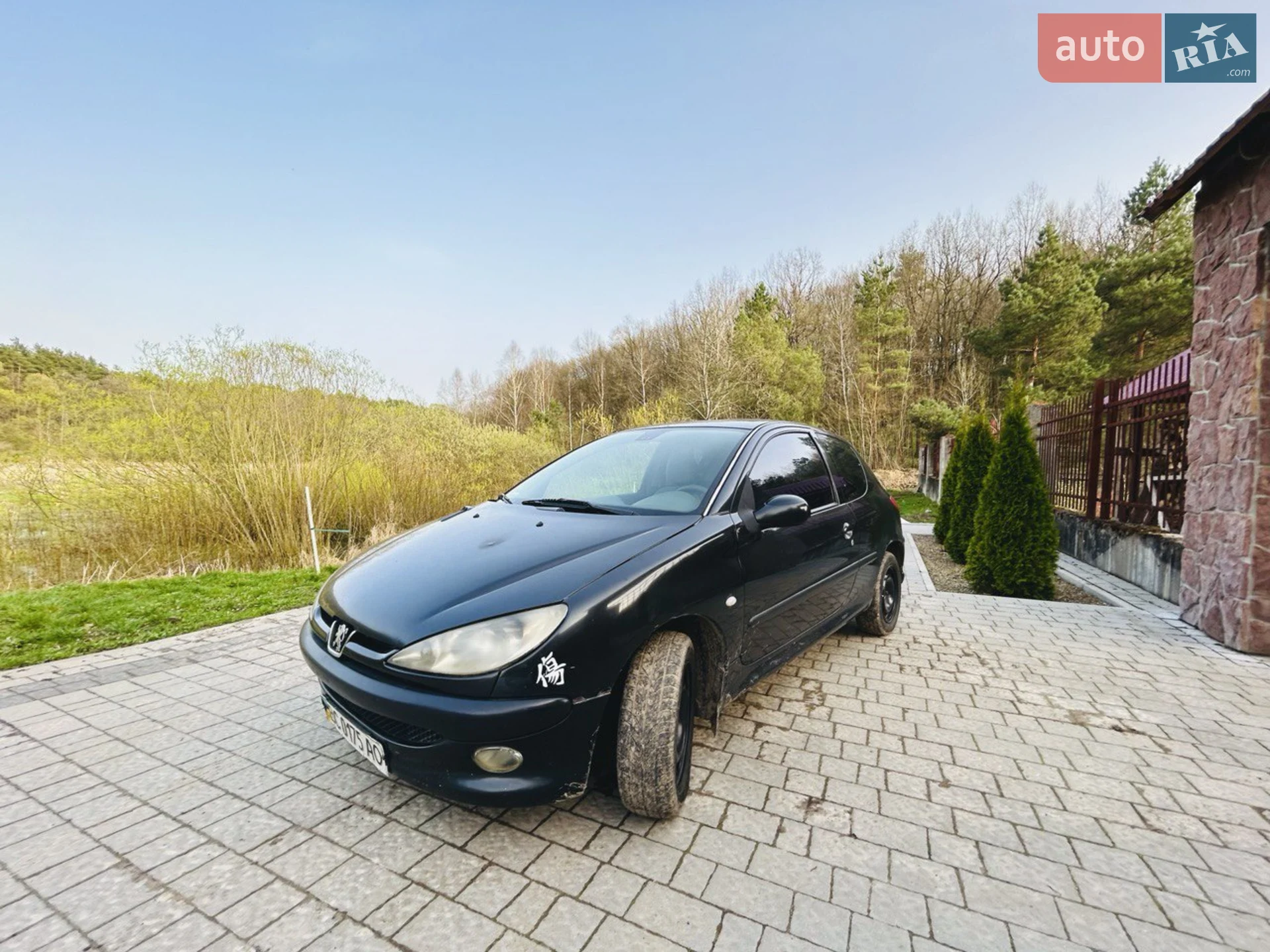 Peugeot 206, 2004