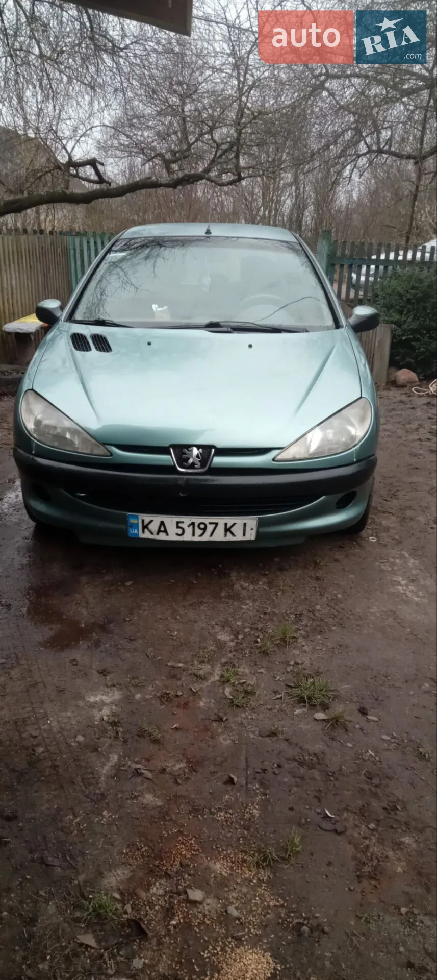 Peugeot 206, 2001