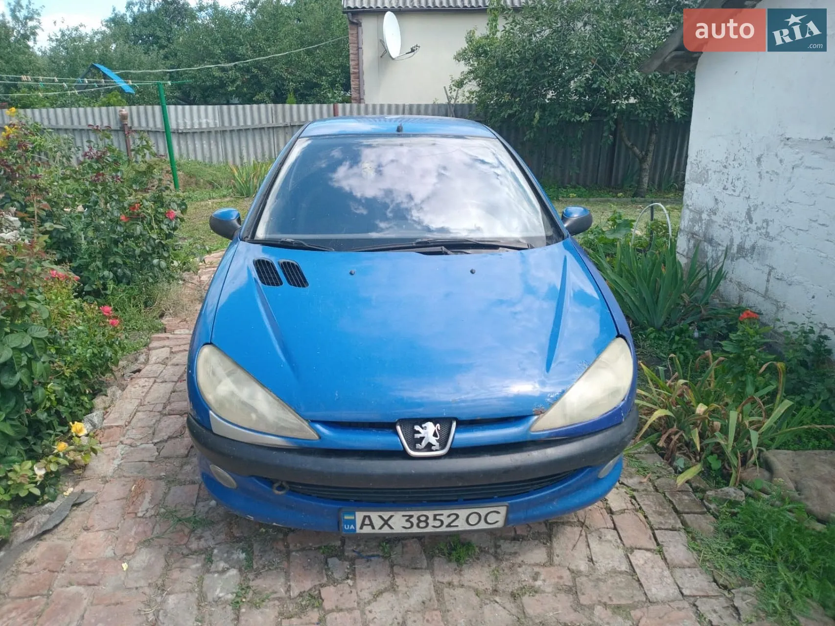 Peugeot 206, 2002