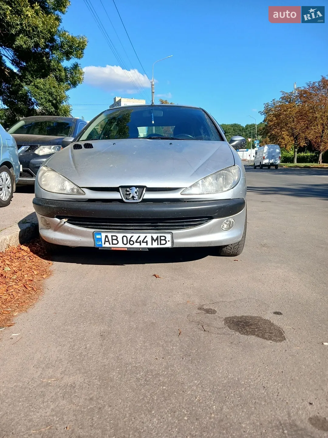 Peugeot 206, 2005