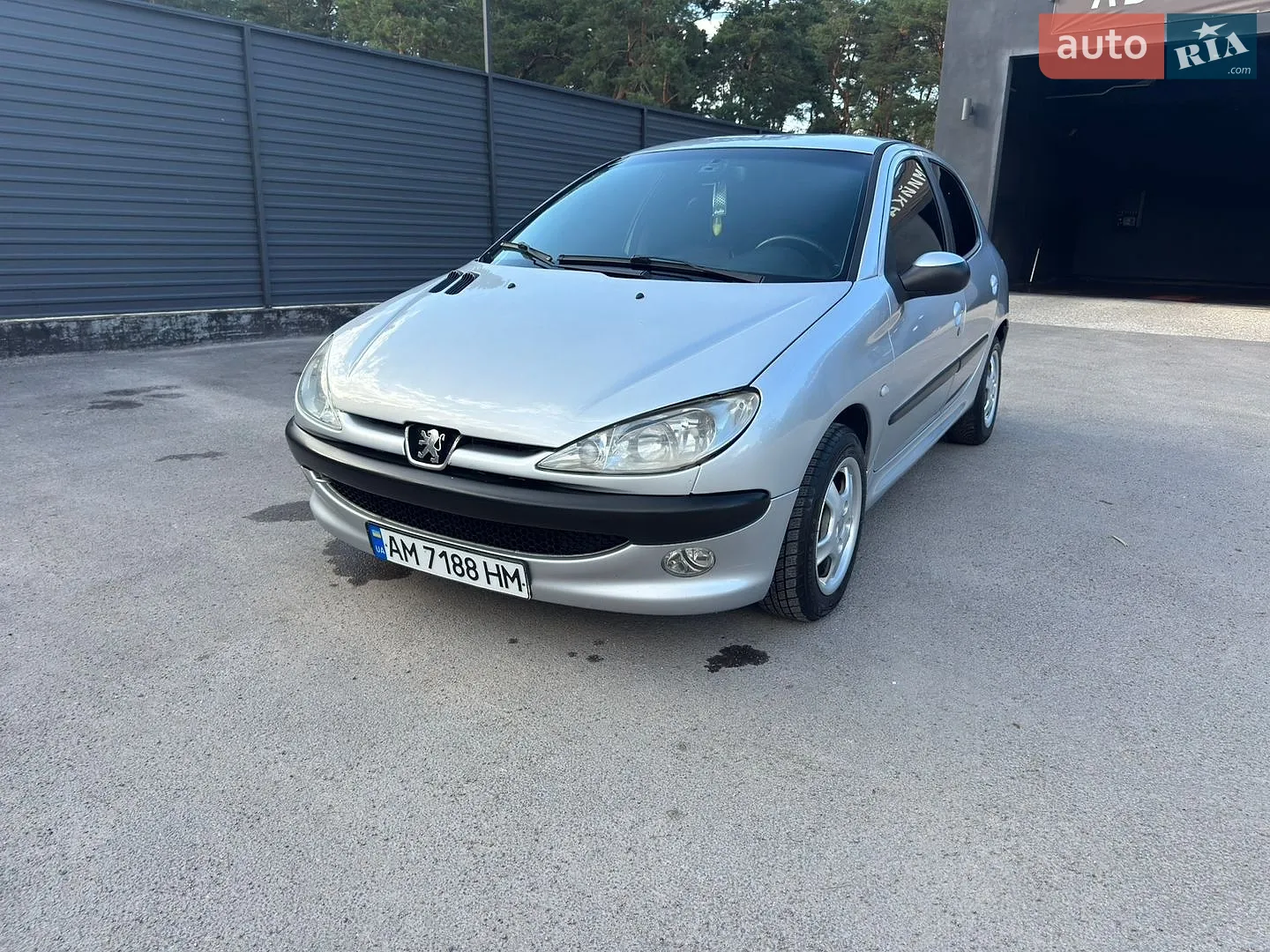 Peugeot 206, 2004
