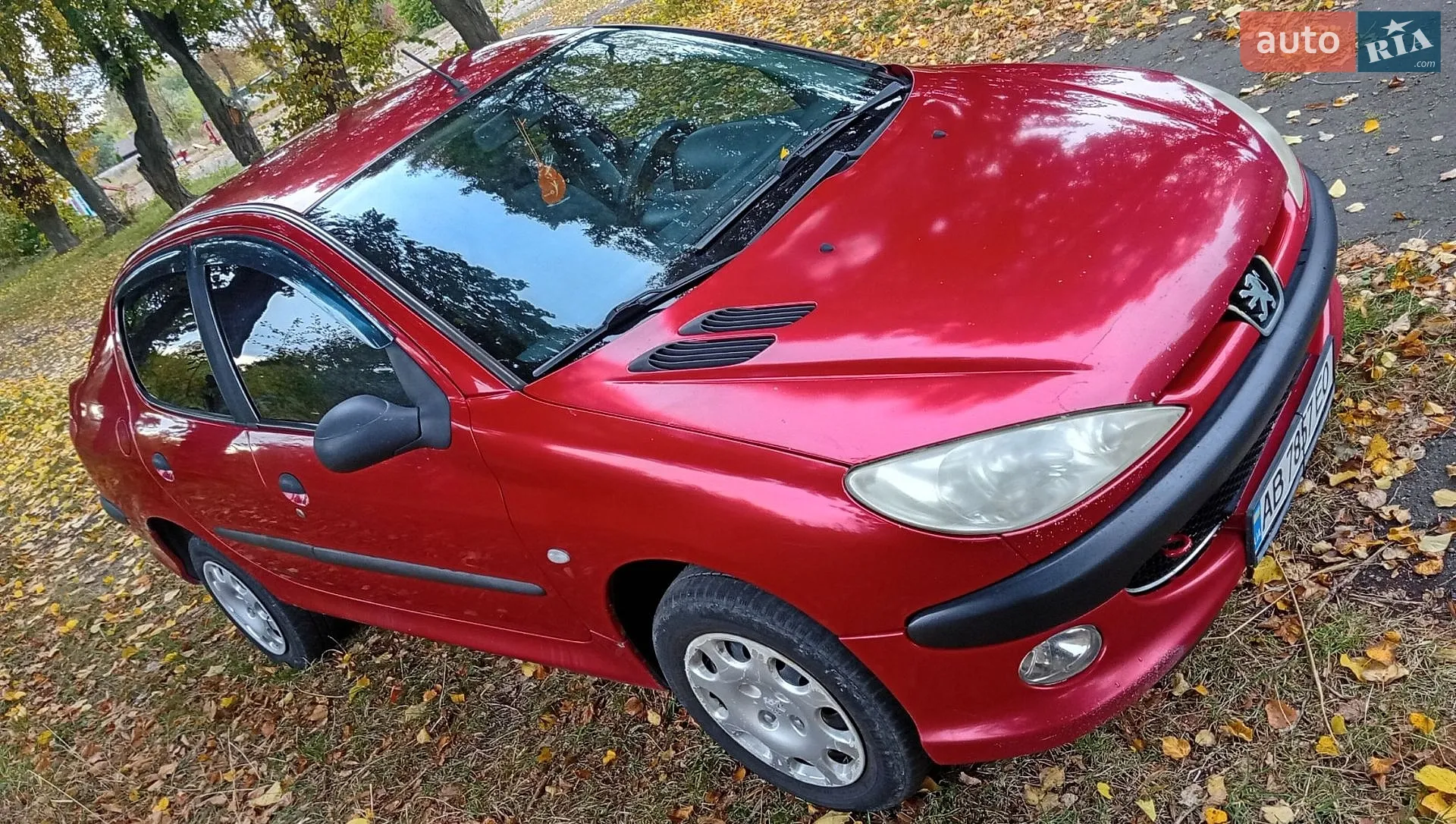 Peugeot 206, 2010