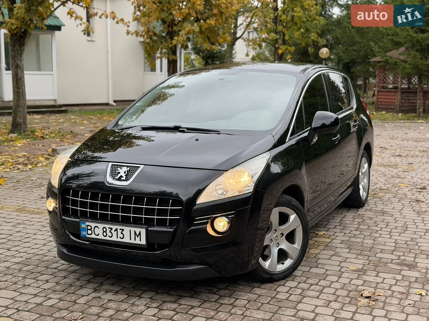 Peugeot 3008, 2010