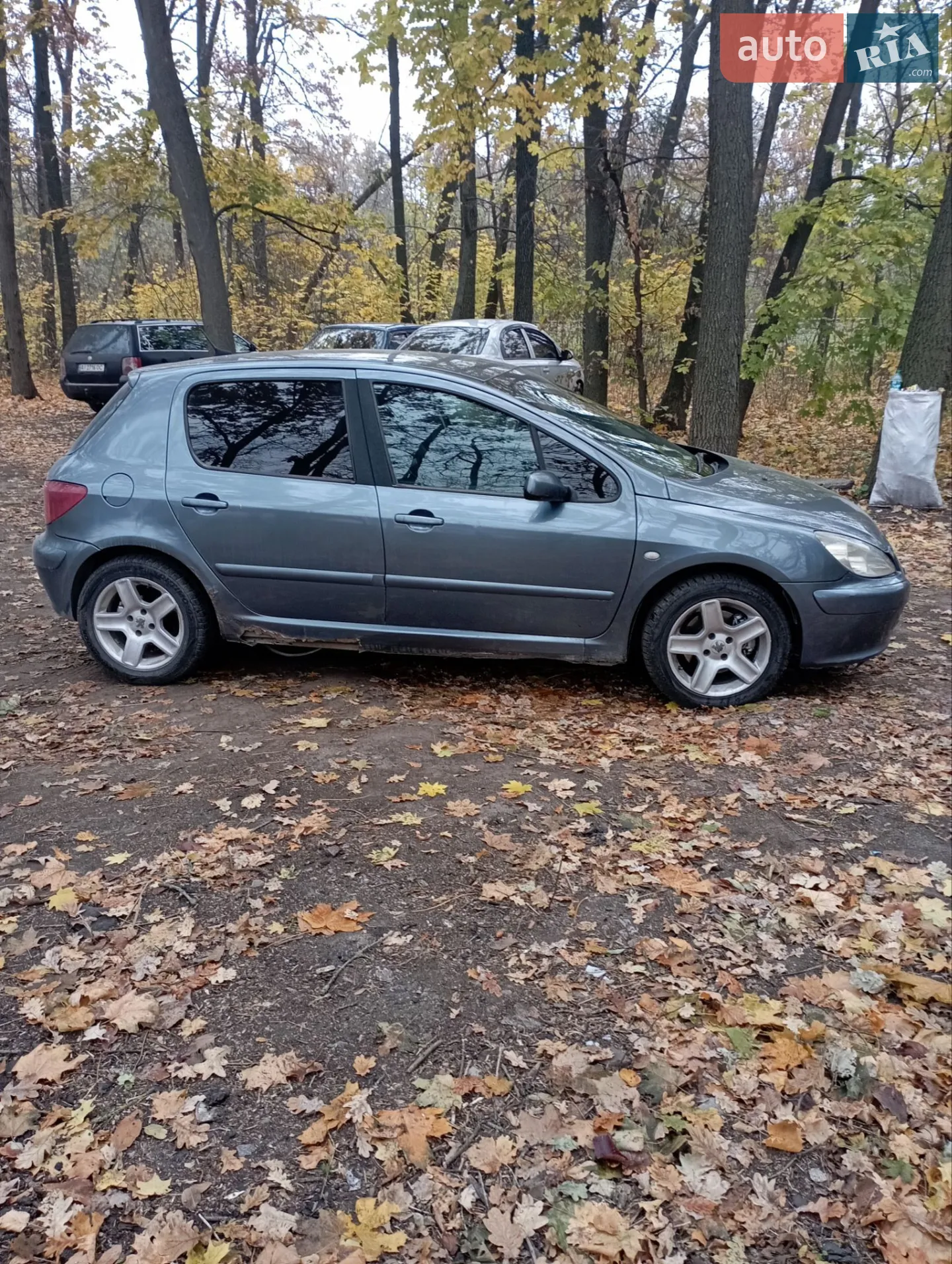 Peugeot 306, 2002