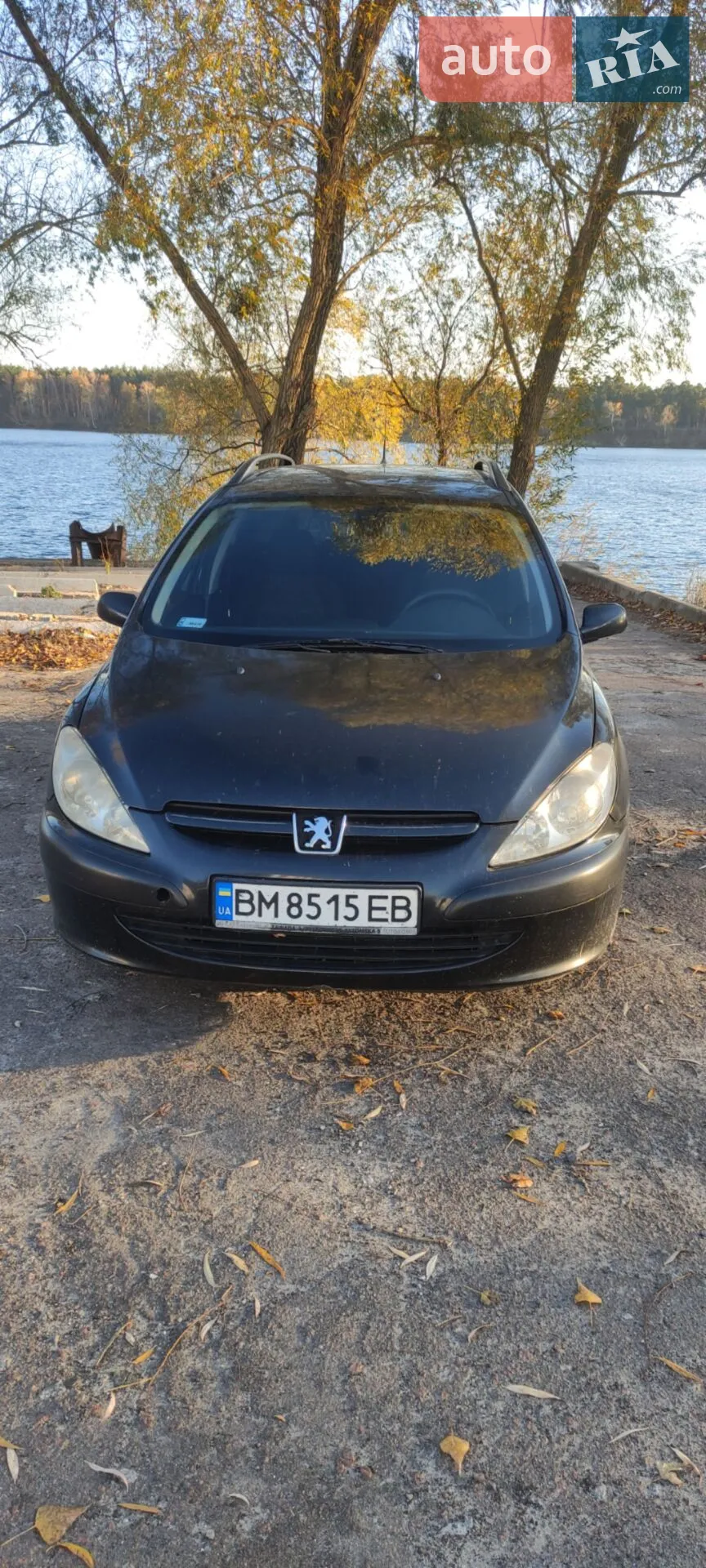 Peugeot 307, 2004