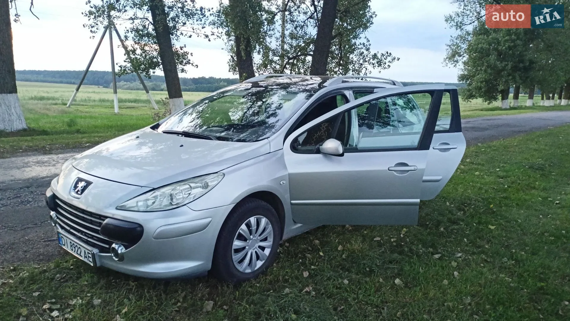 Peugeot 307, 2006