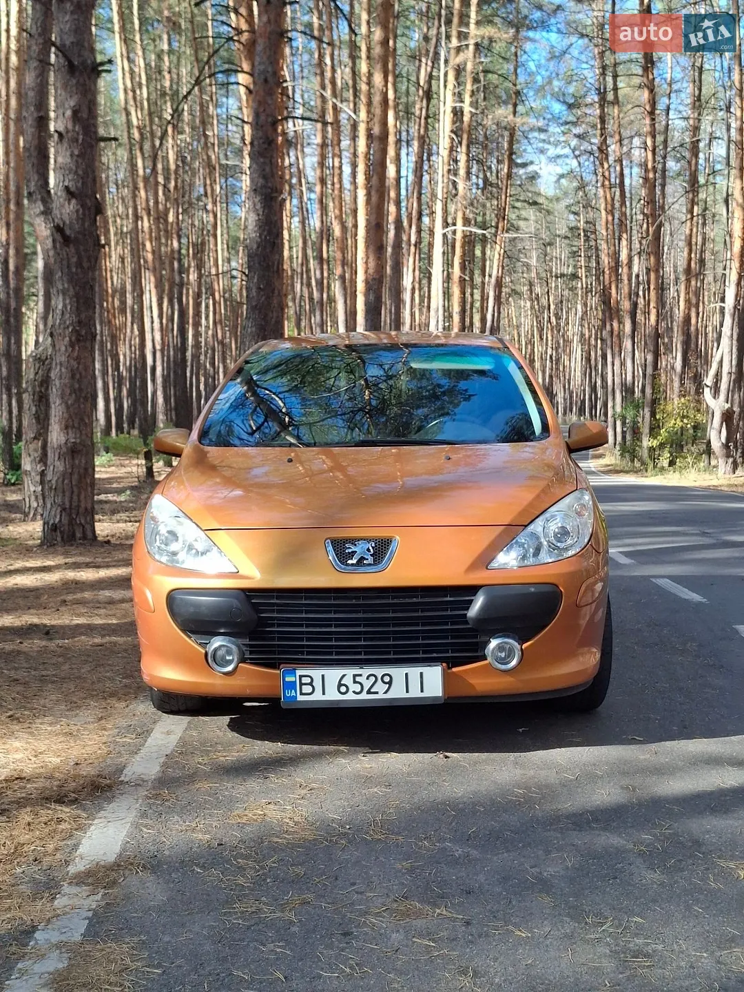 Peugeot 307 2006 — 1