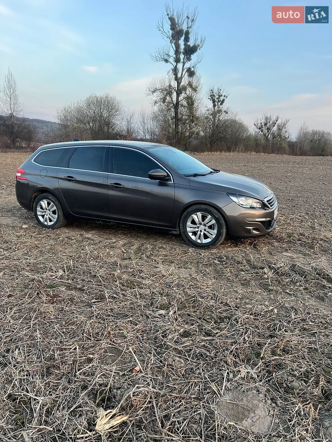 Peugeot 308, 2014