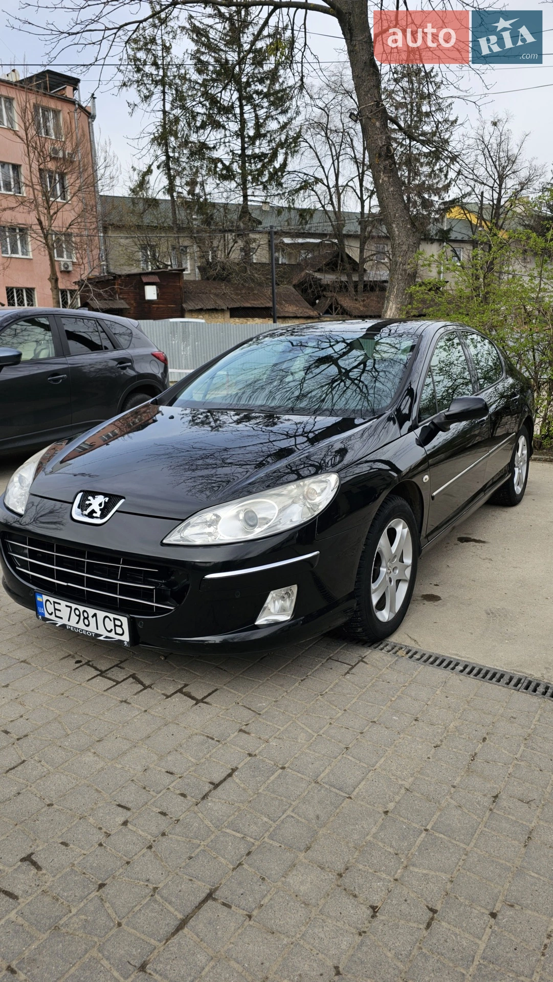 Peugeot 407, 2009