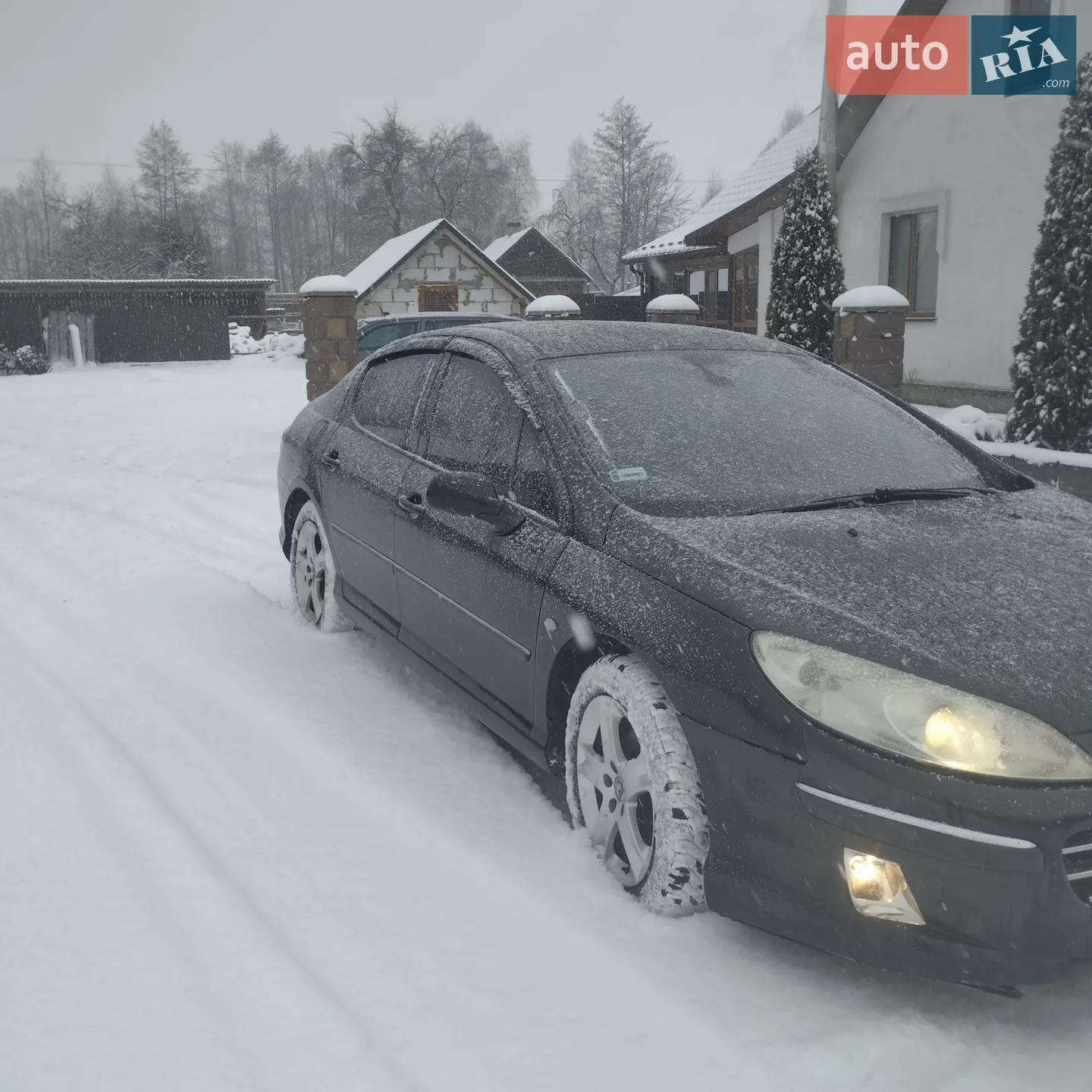 Peugeot 407, 2004