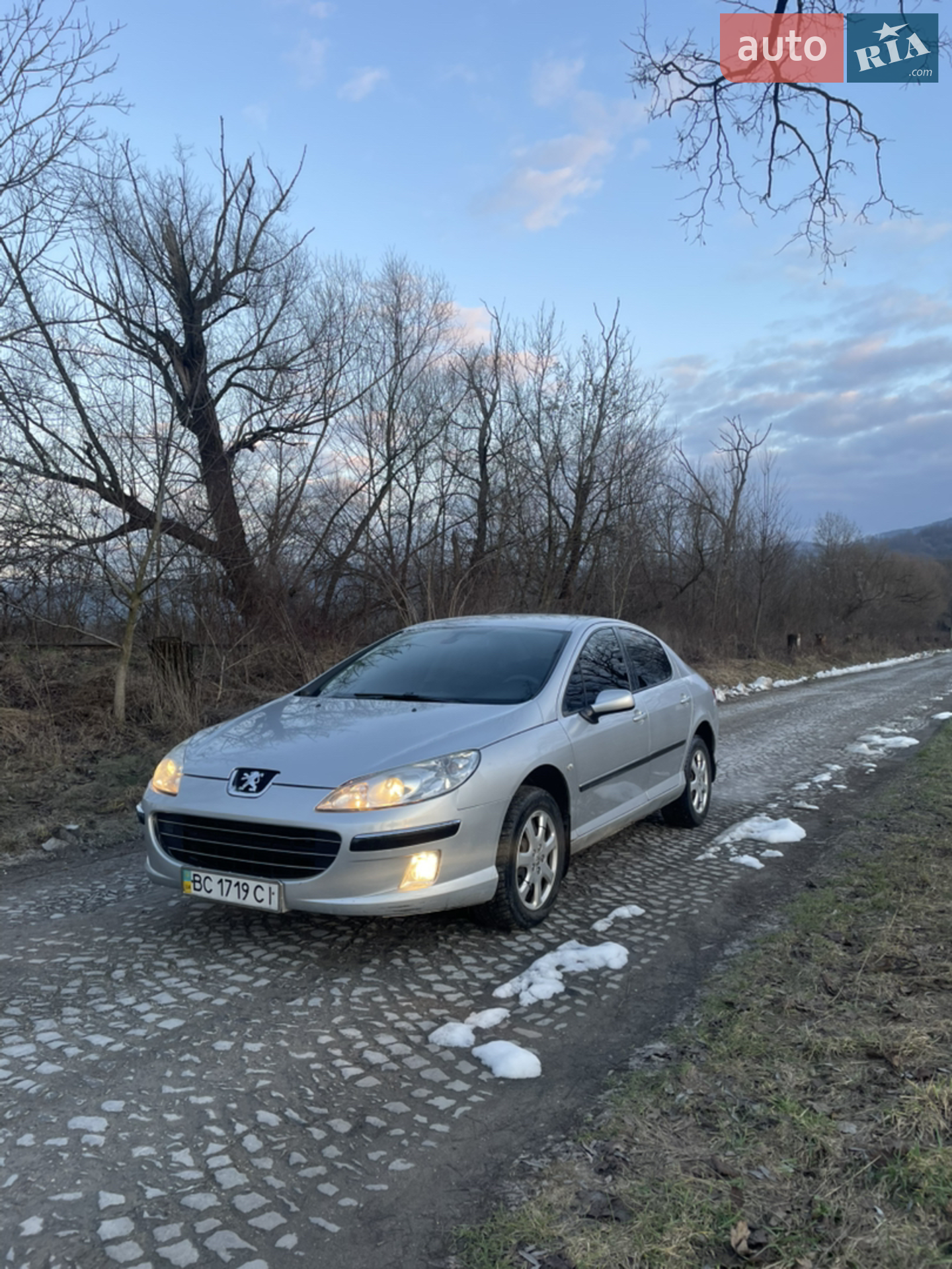 Peugeot 407, 2006