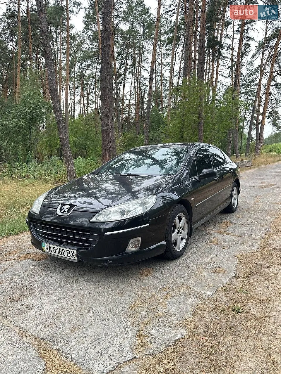 Peugeot 407, 2006