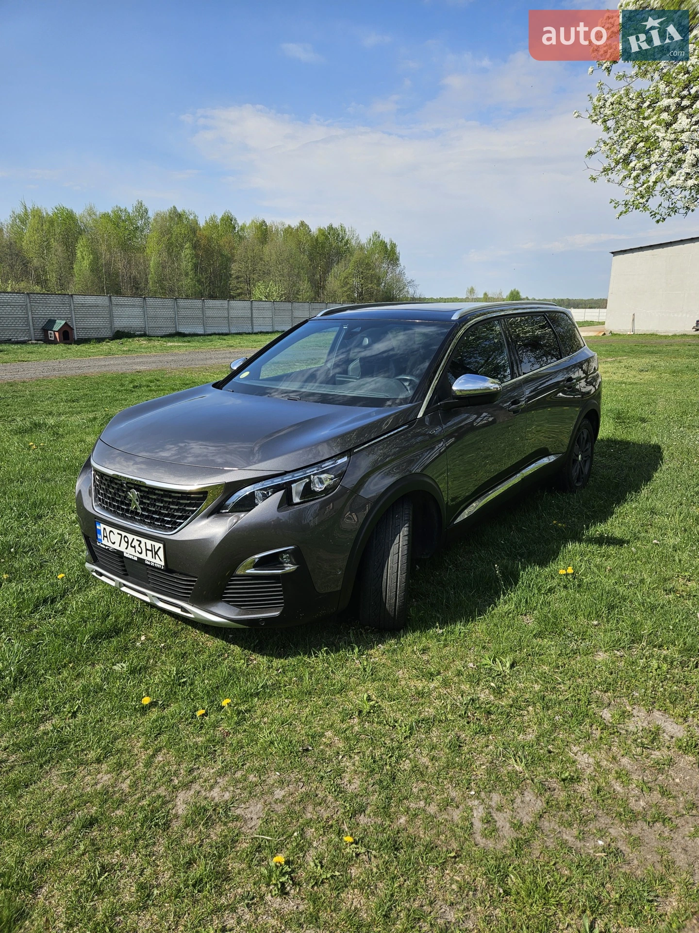 Peugeot 5008, 2019