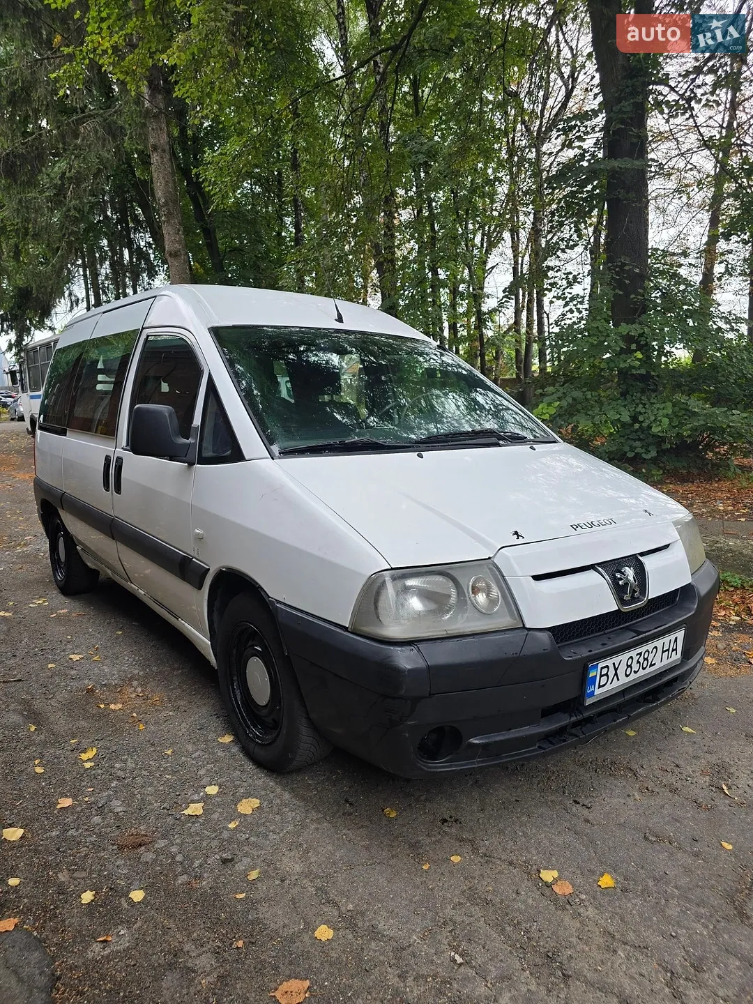 Peugeot Expert, 2006