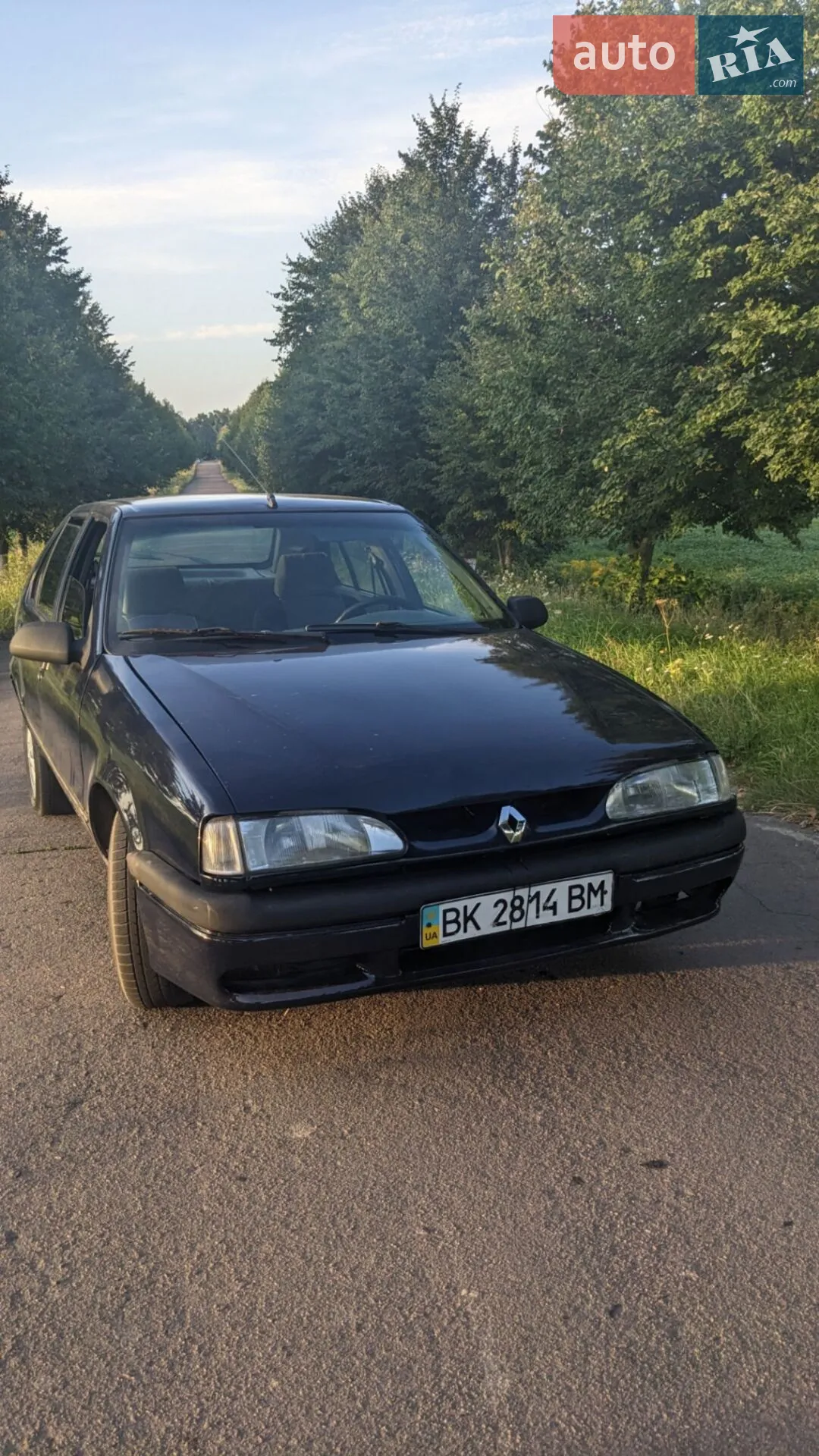 Renault 19, 1994