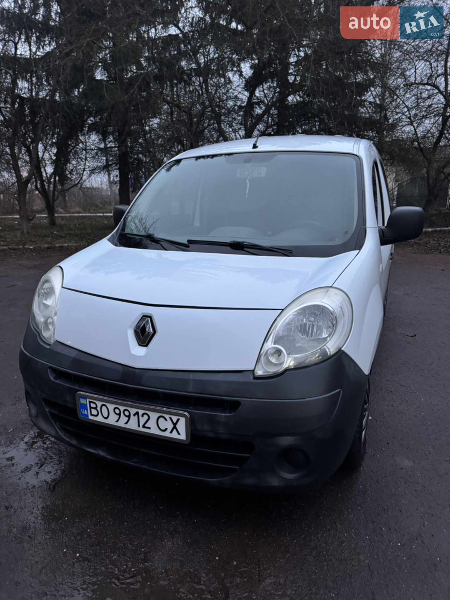 Renault Kangoo, 2009