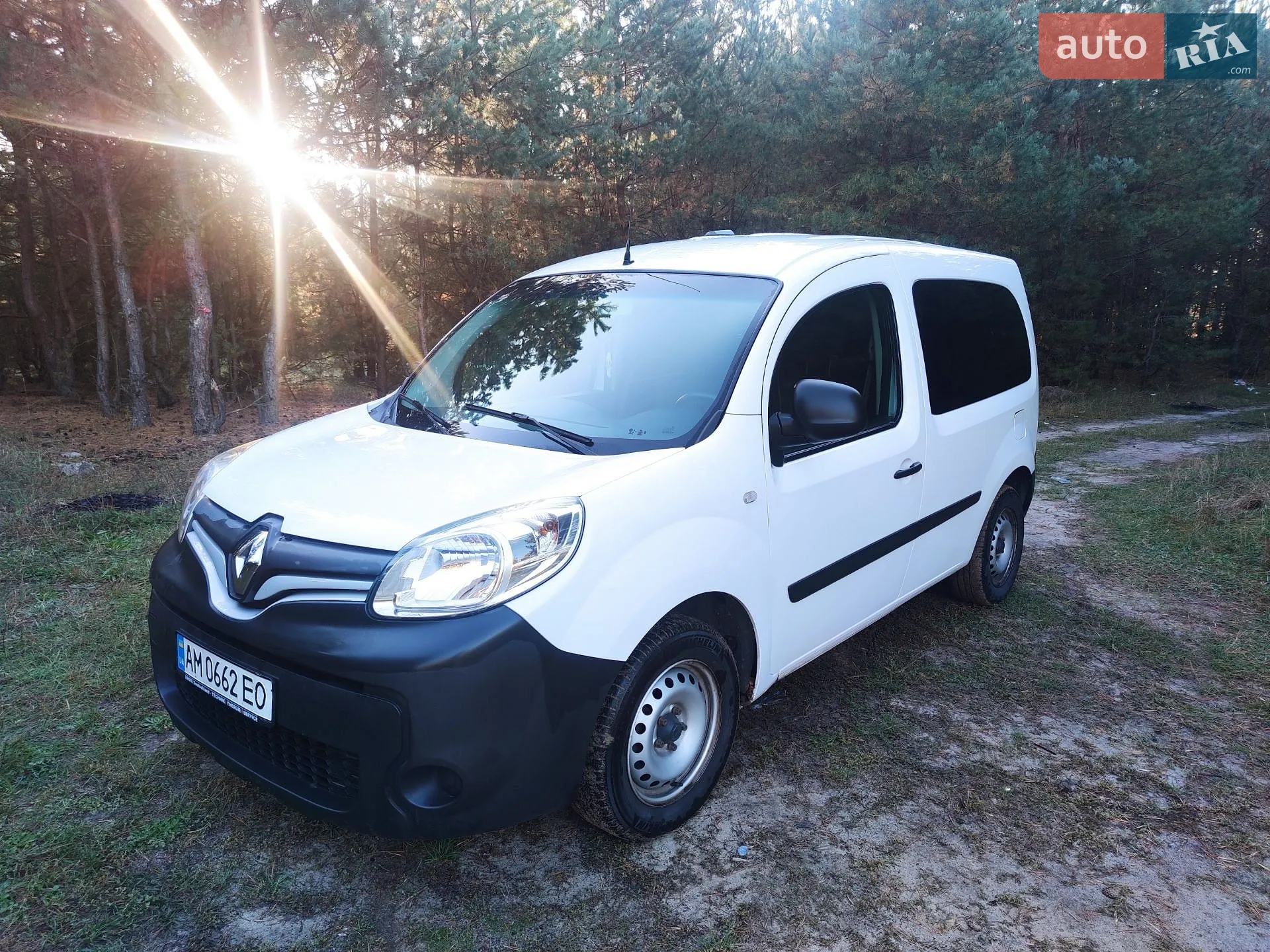 Renault Kangoo, 2018