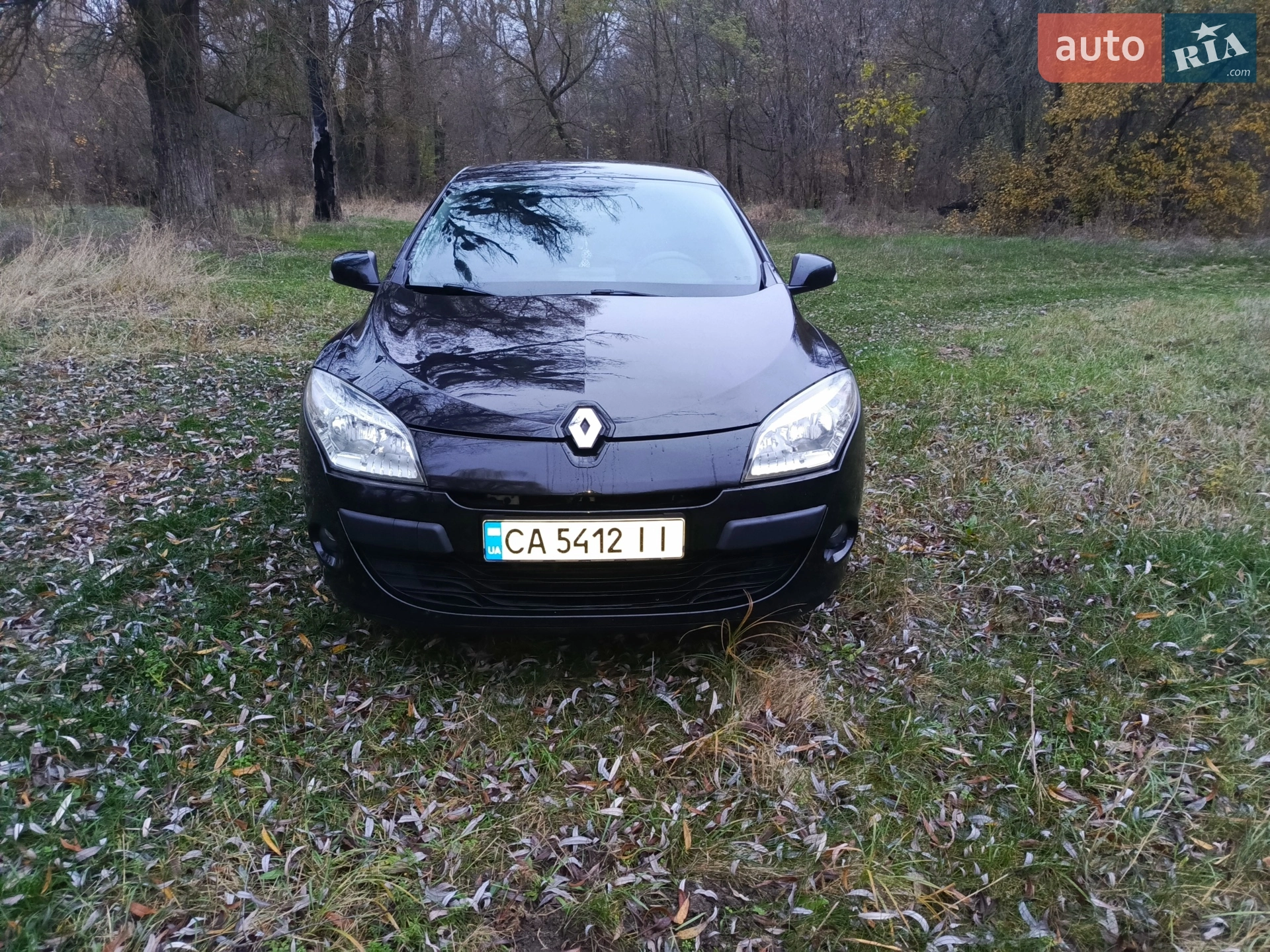 Renault Megane, 2010