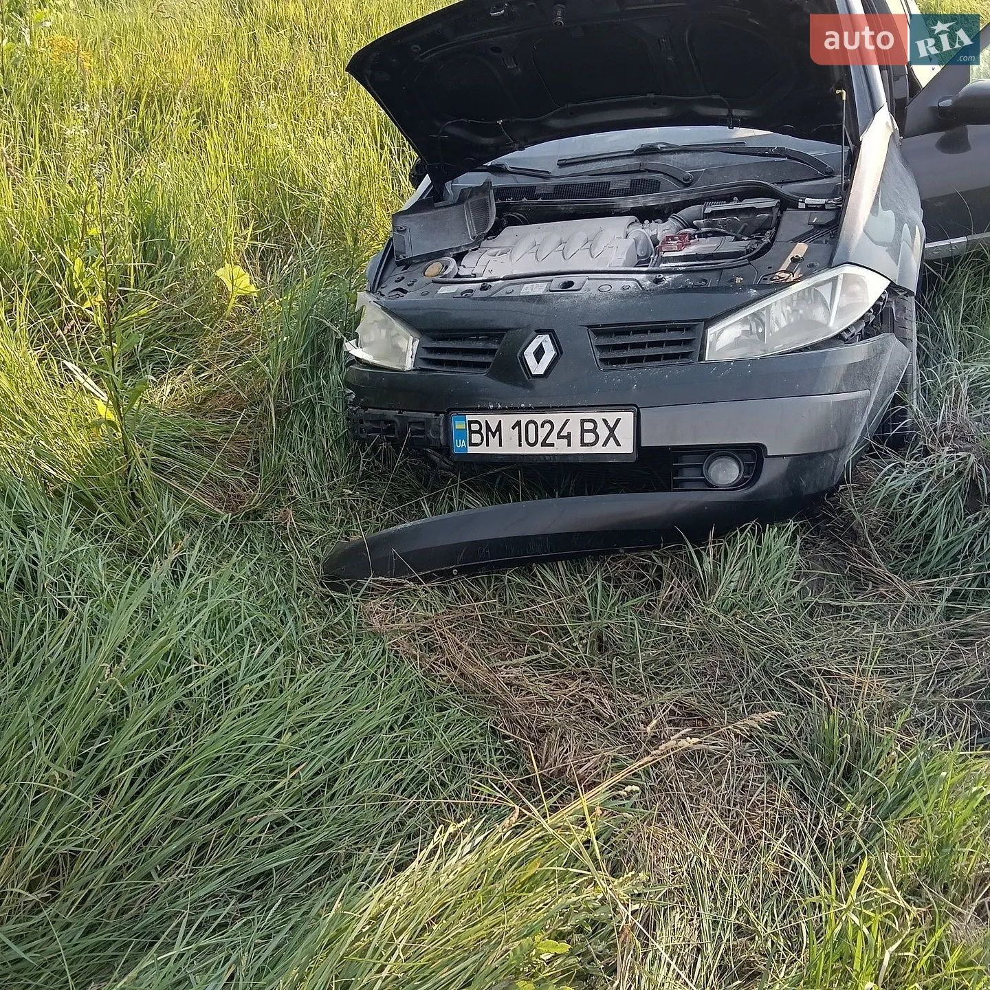 Renault Megane, 2004