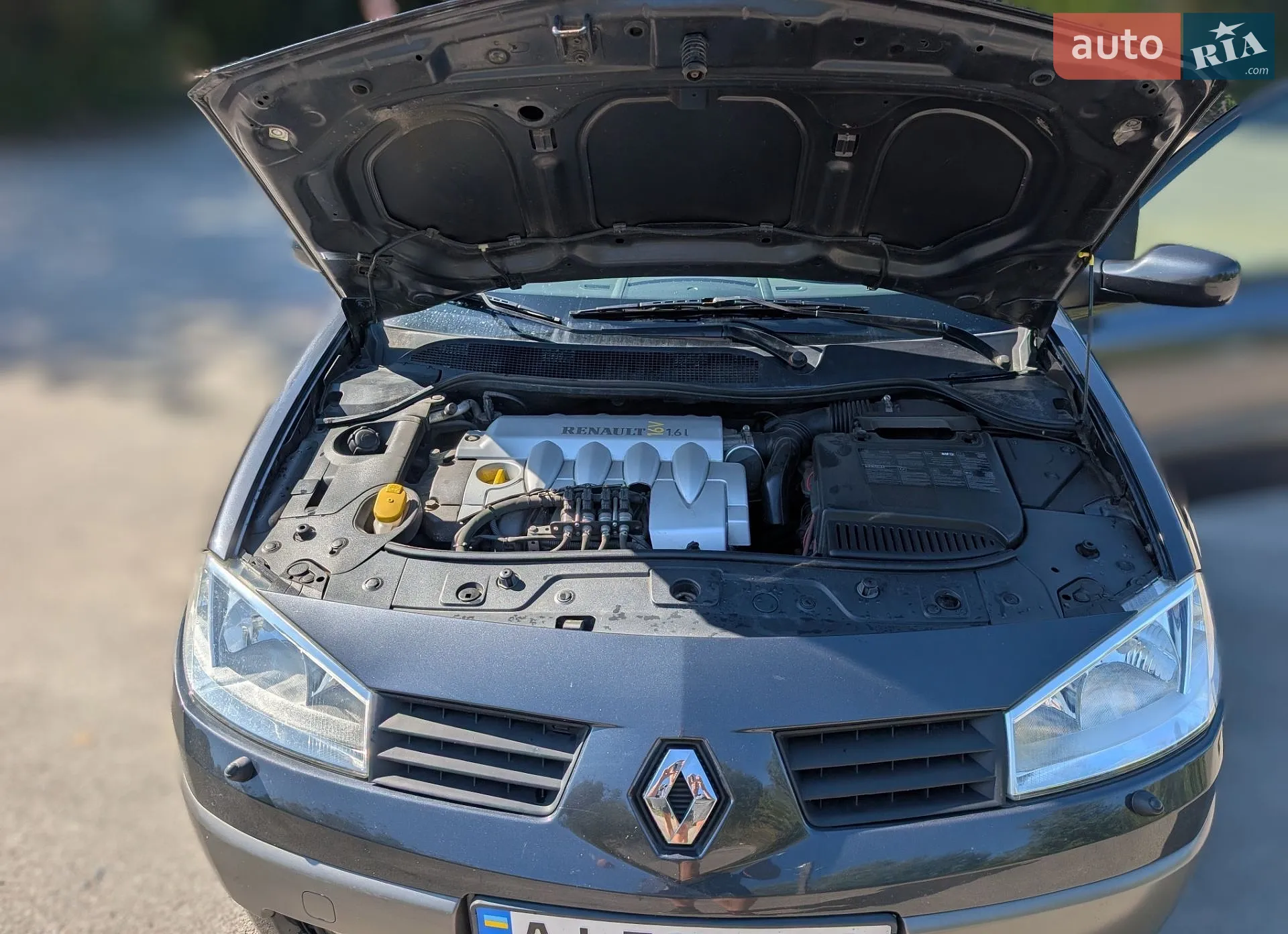 Renault Megane, 2004