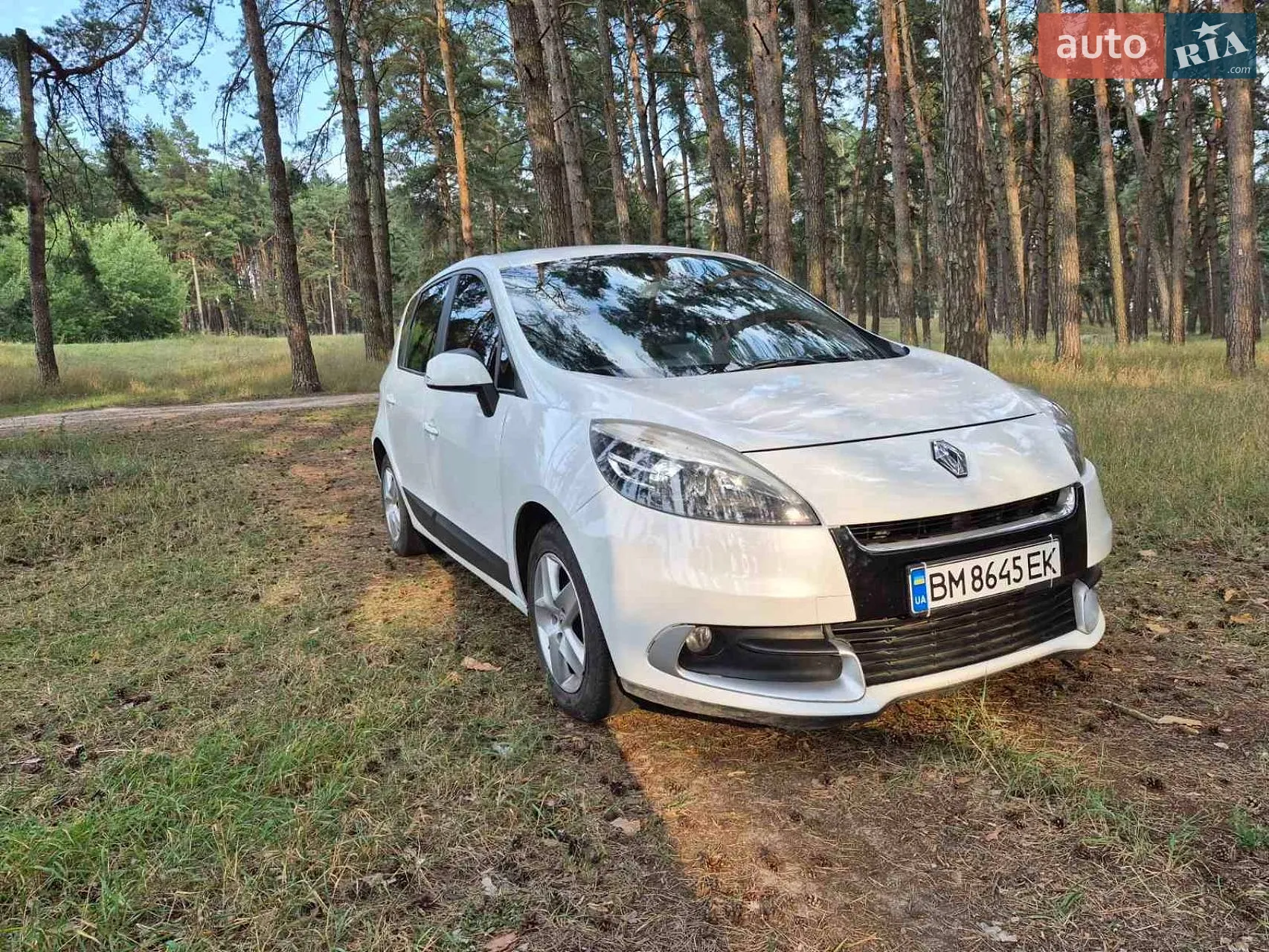 Renault Scenic, 2012