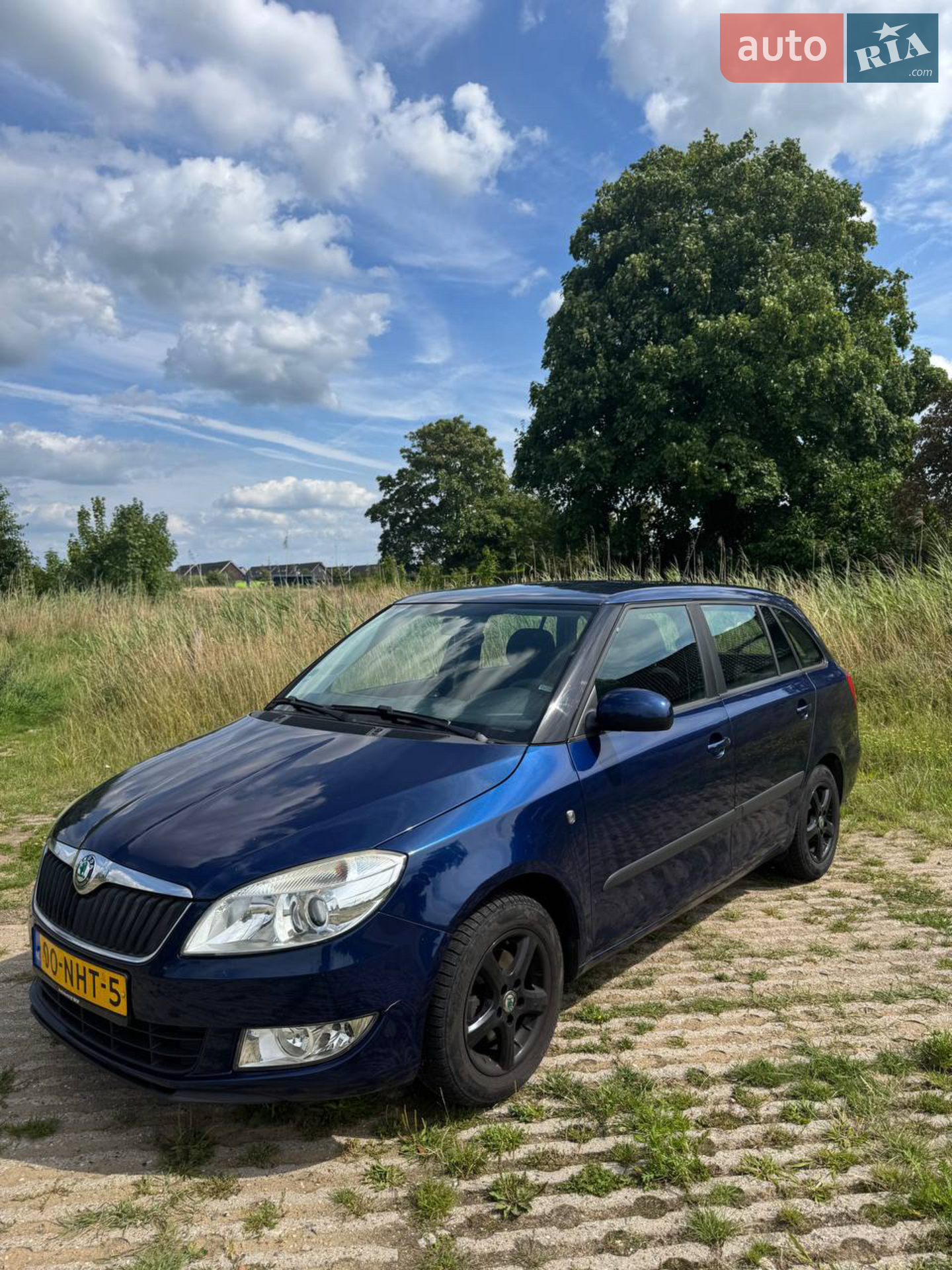 Skoda Fabia, 2010