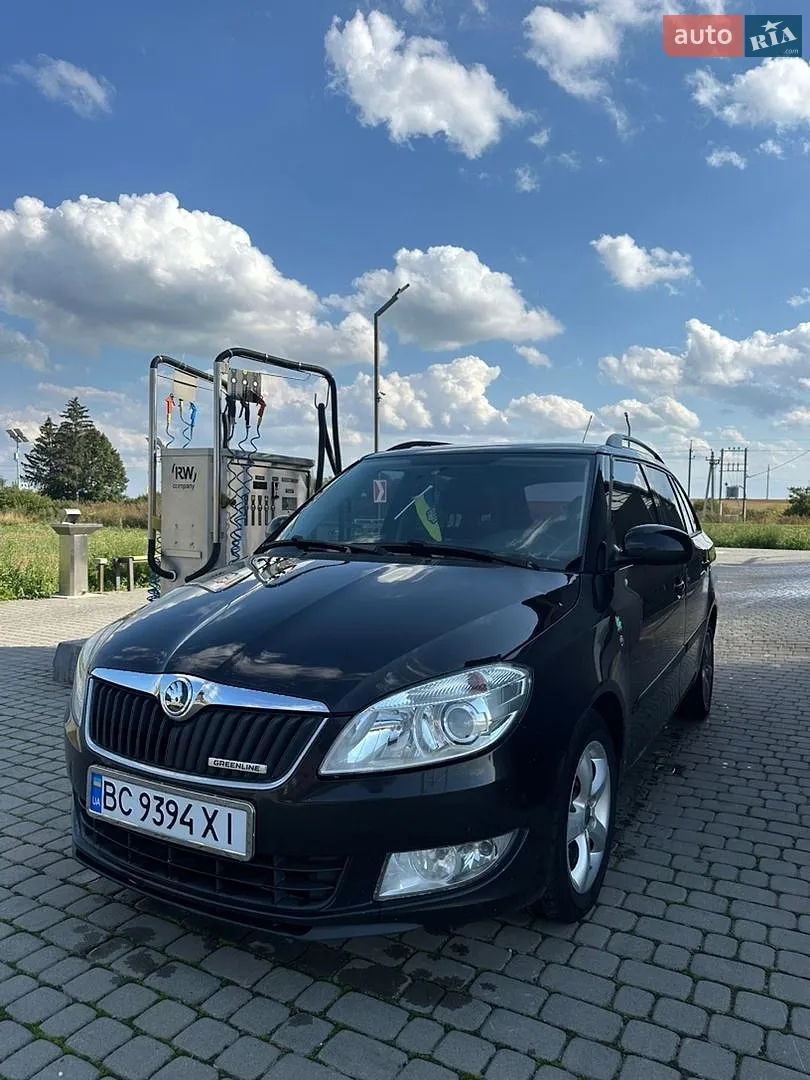 Skoda Fabia 2011 — 1