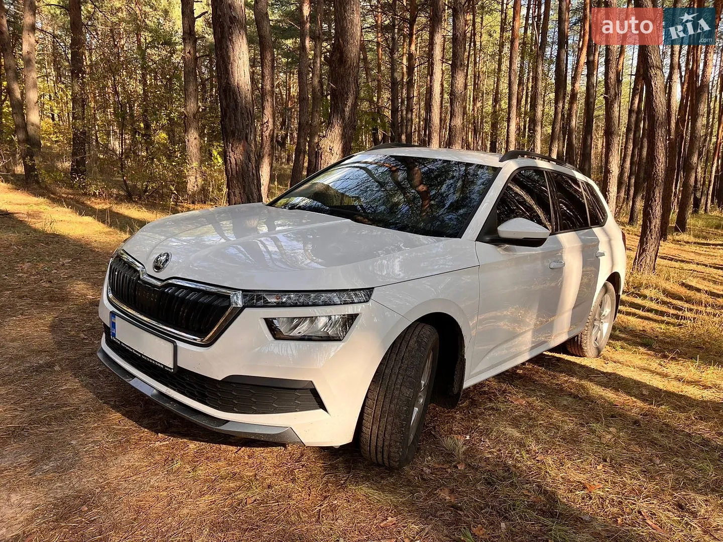 Skoda Kamiq, 2022