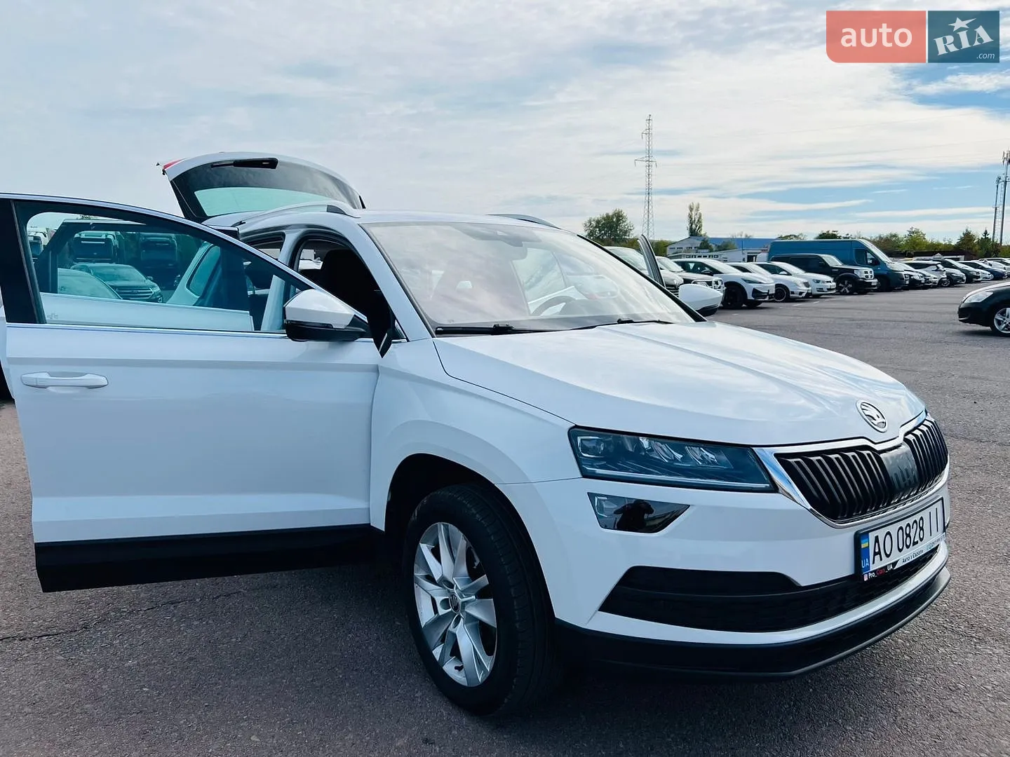 Skoda Karoq, 2020
