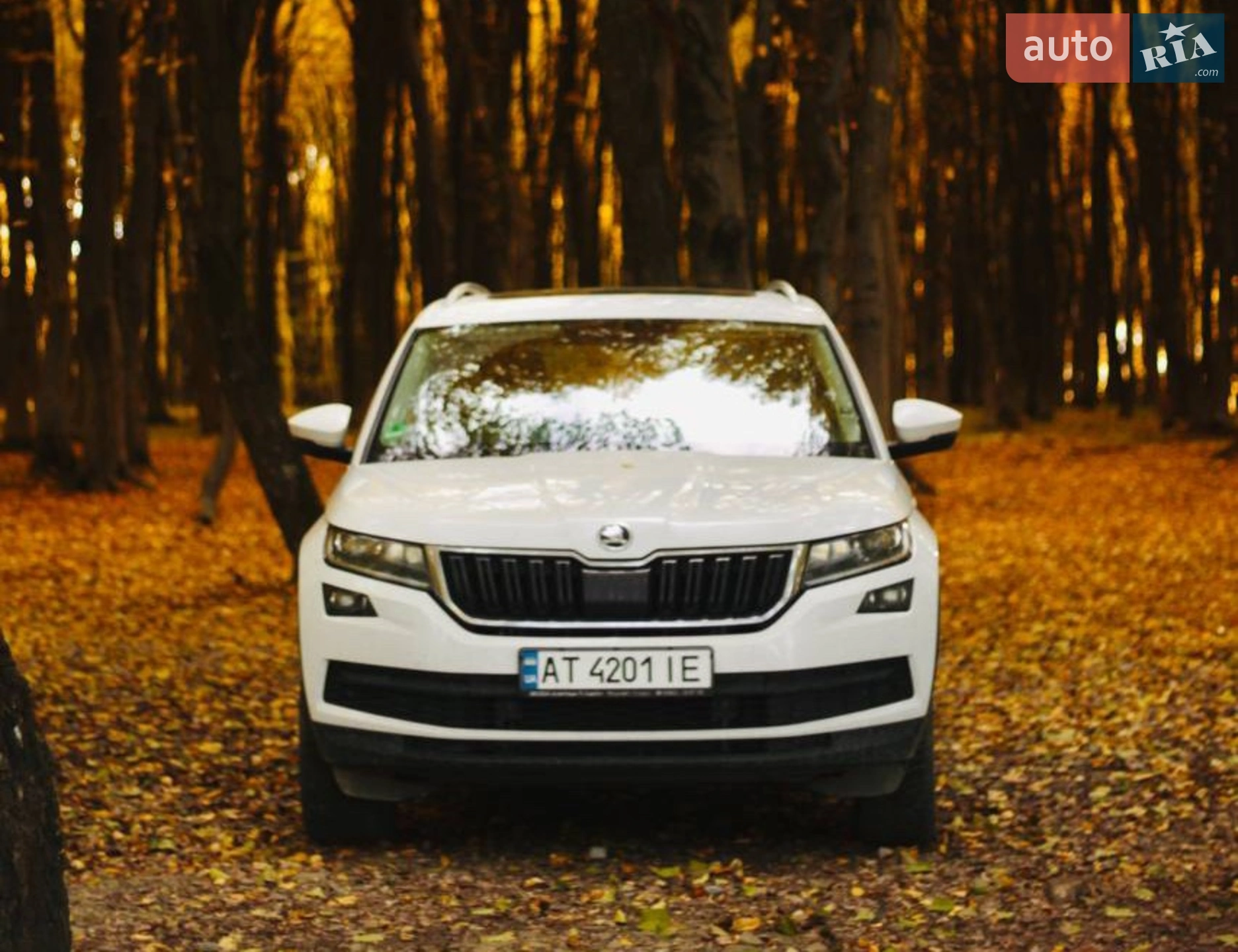 Skoda Kodiaq, 2019