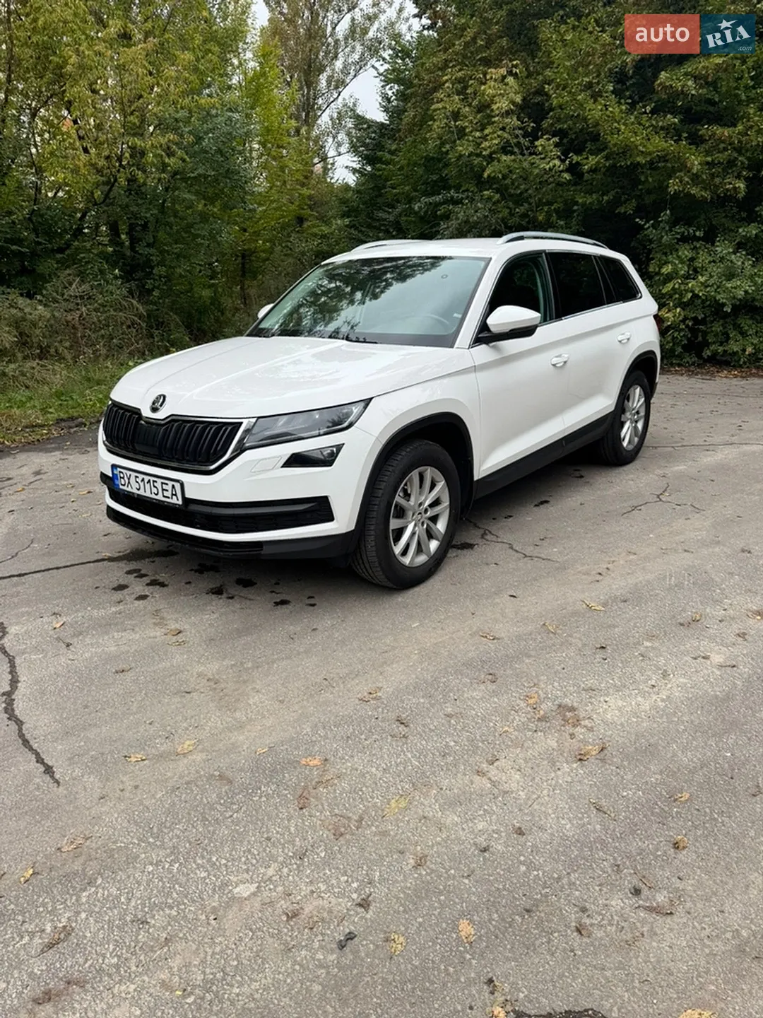 Skoda Kodiaq, 2018