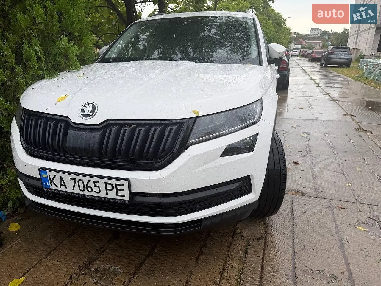 Skoda Kodiaq, 2020