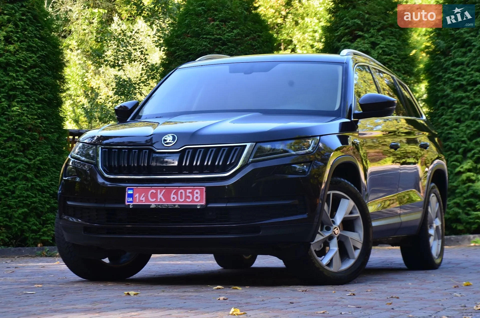 Skoda Kodiaq, 2017