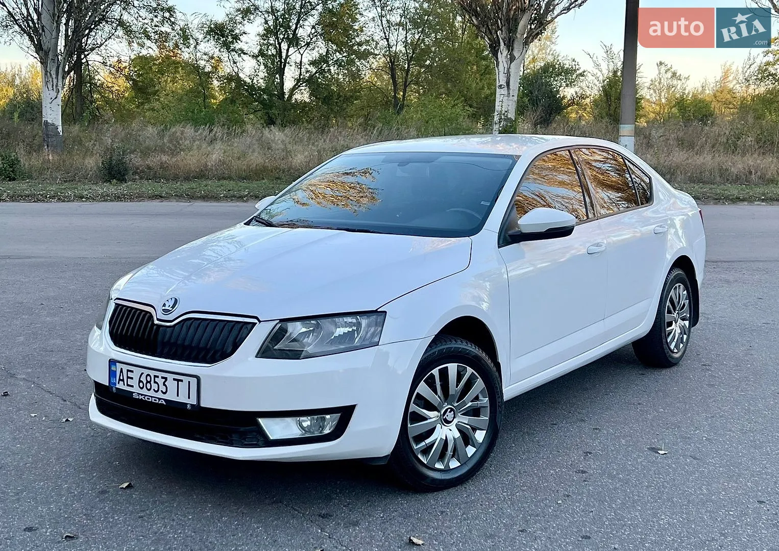 Skoda Octavia, 2013
