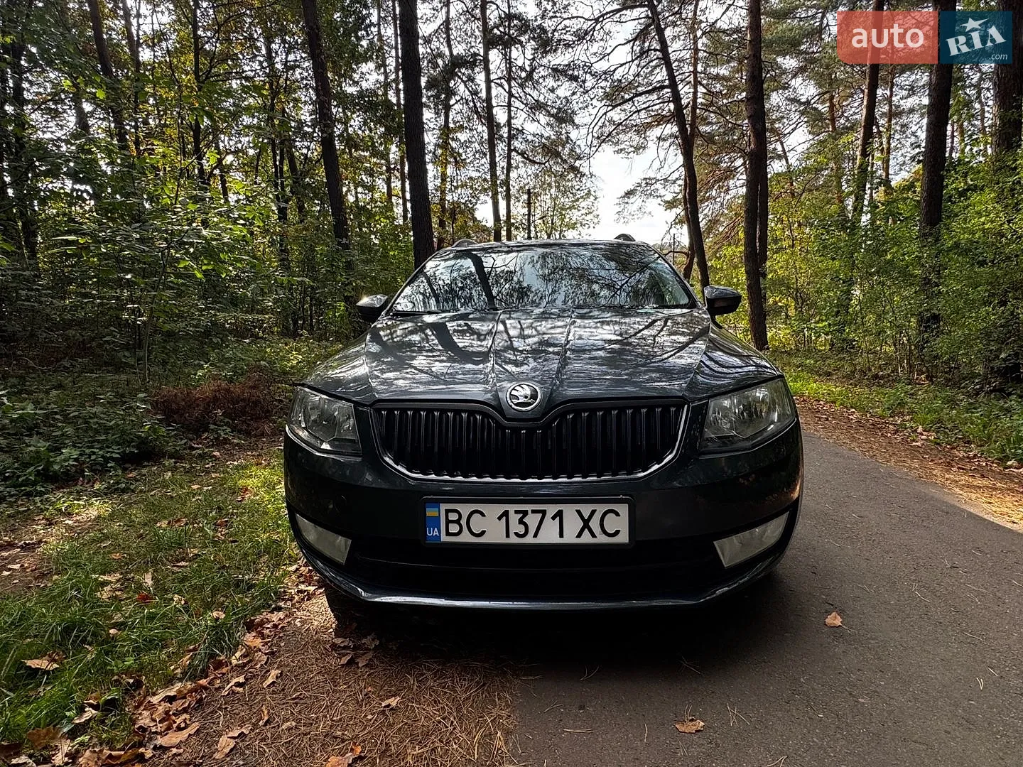 Skoda Octavia, 2015