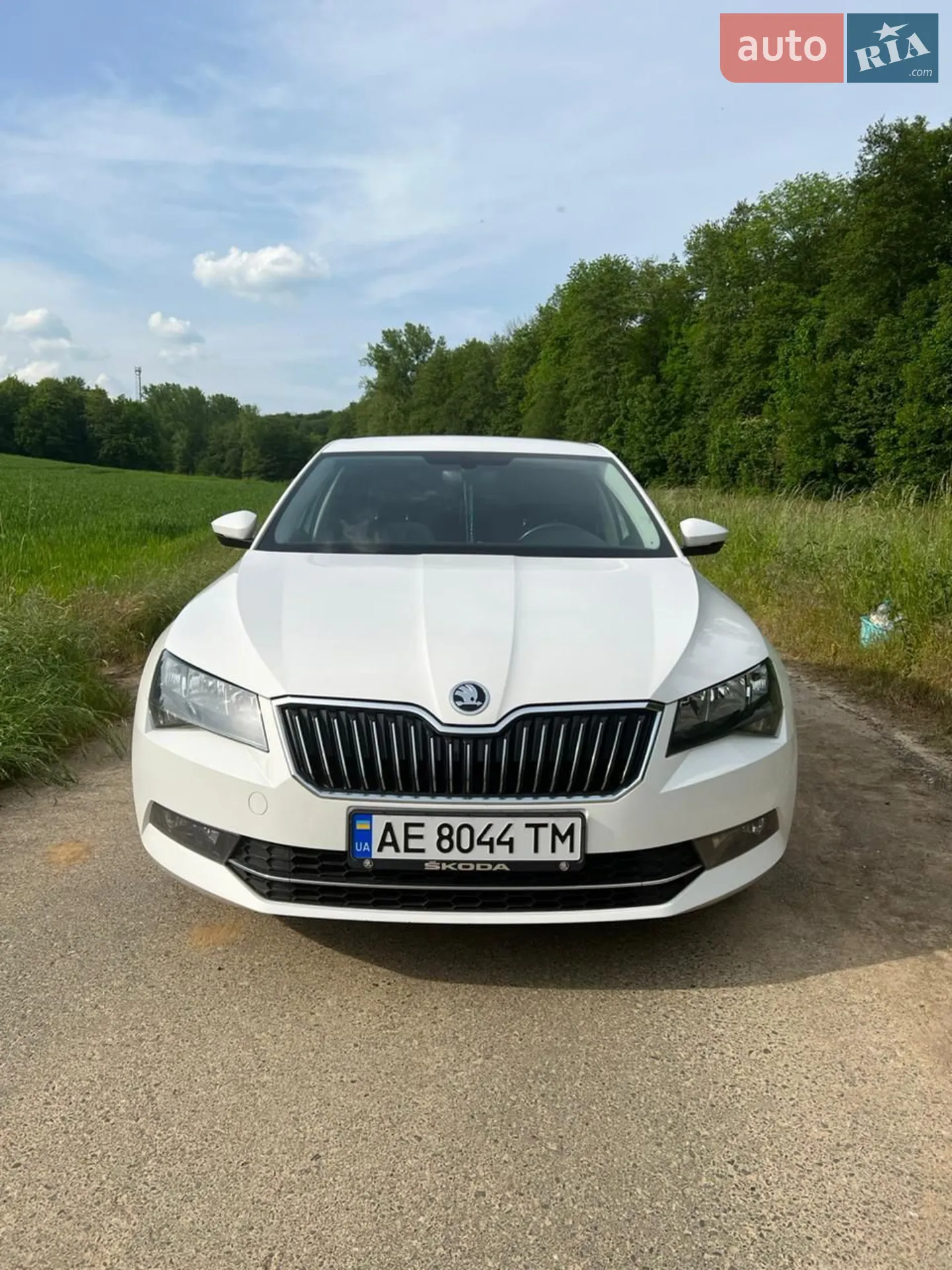Skoda Superb, 2019