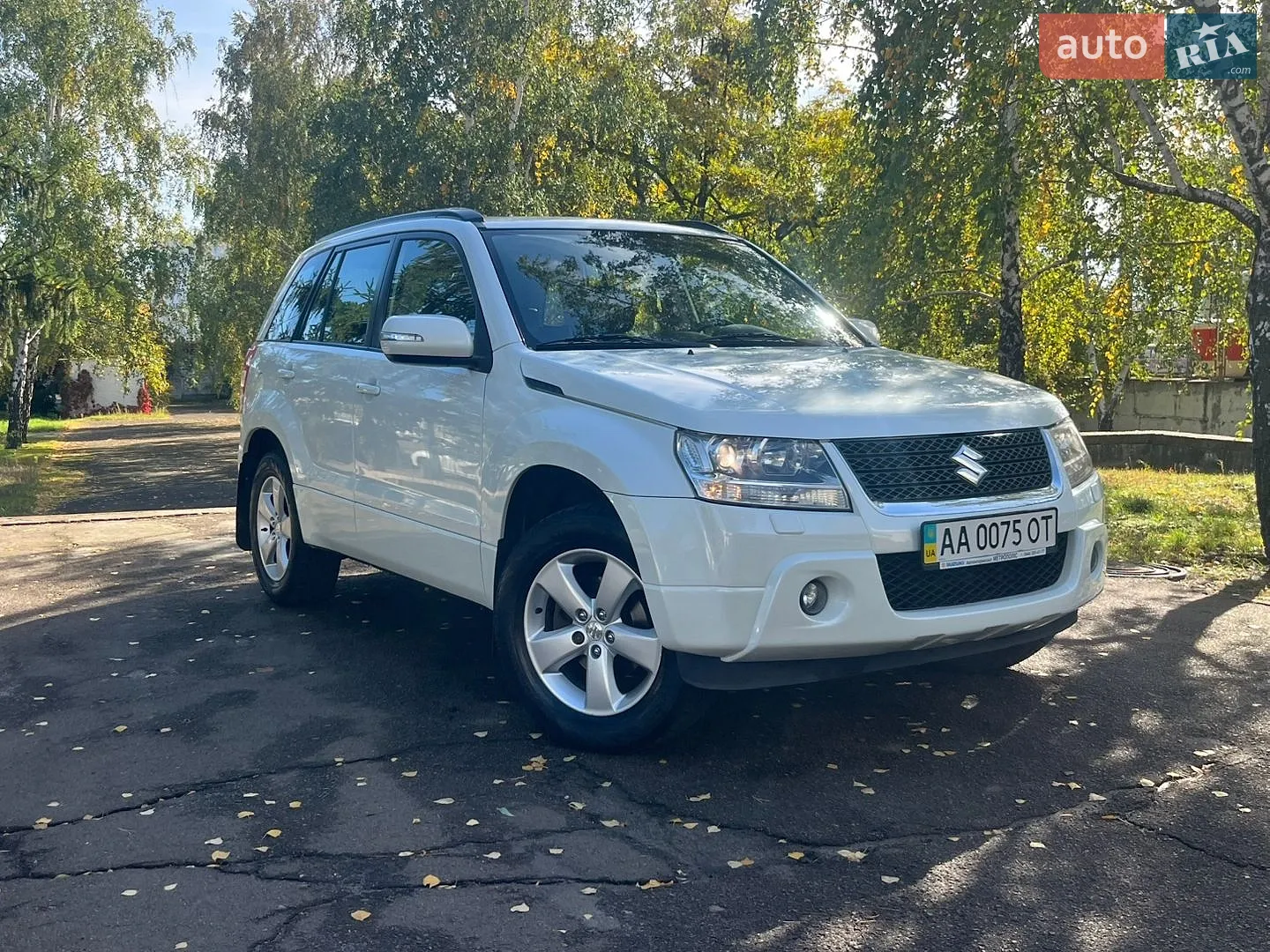 Suzuki Grand Vitara, 2010