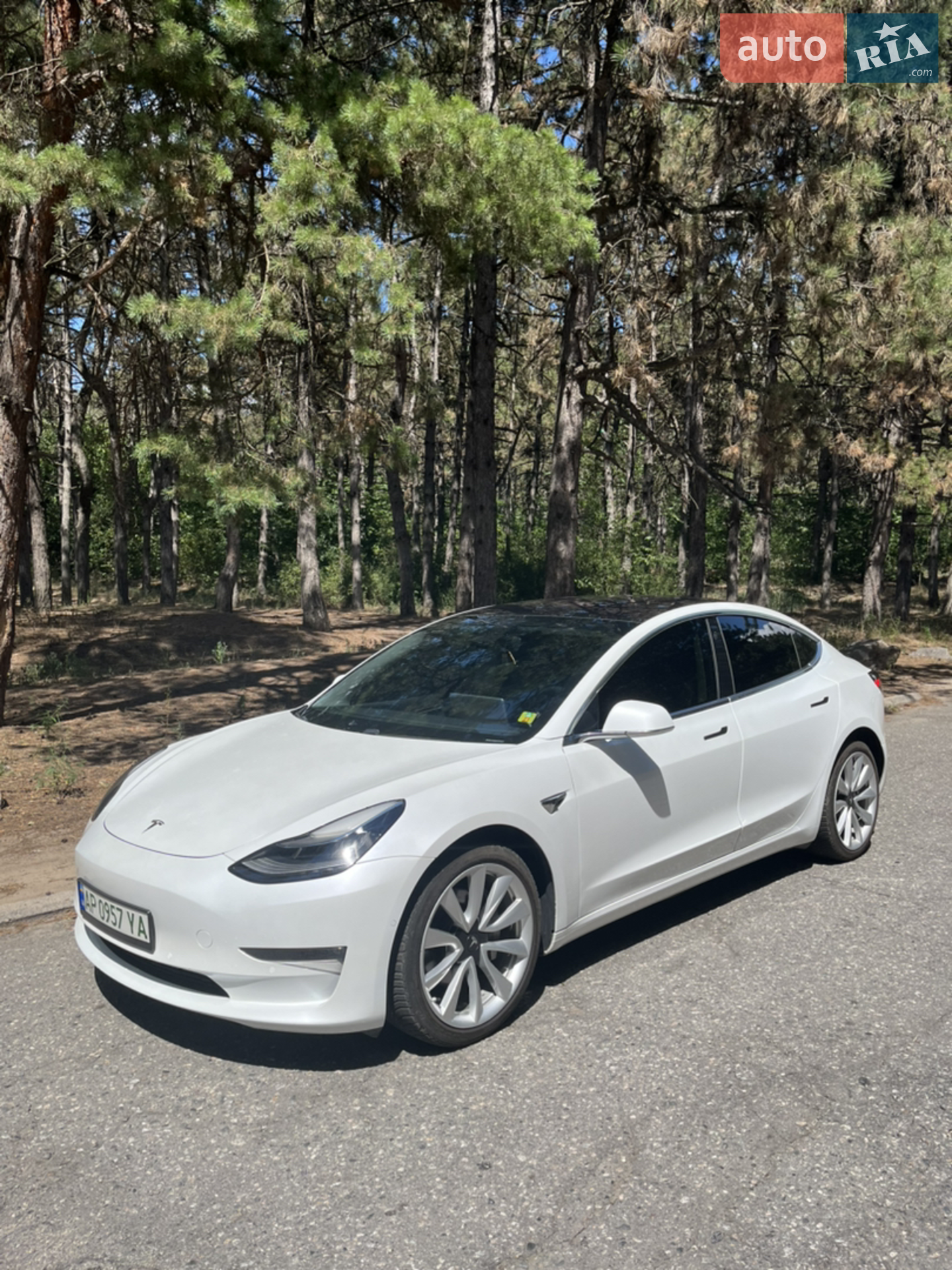 Tesla Model 3, 2019