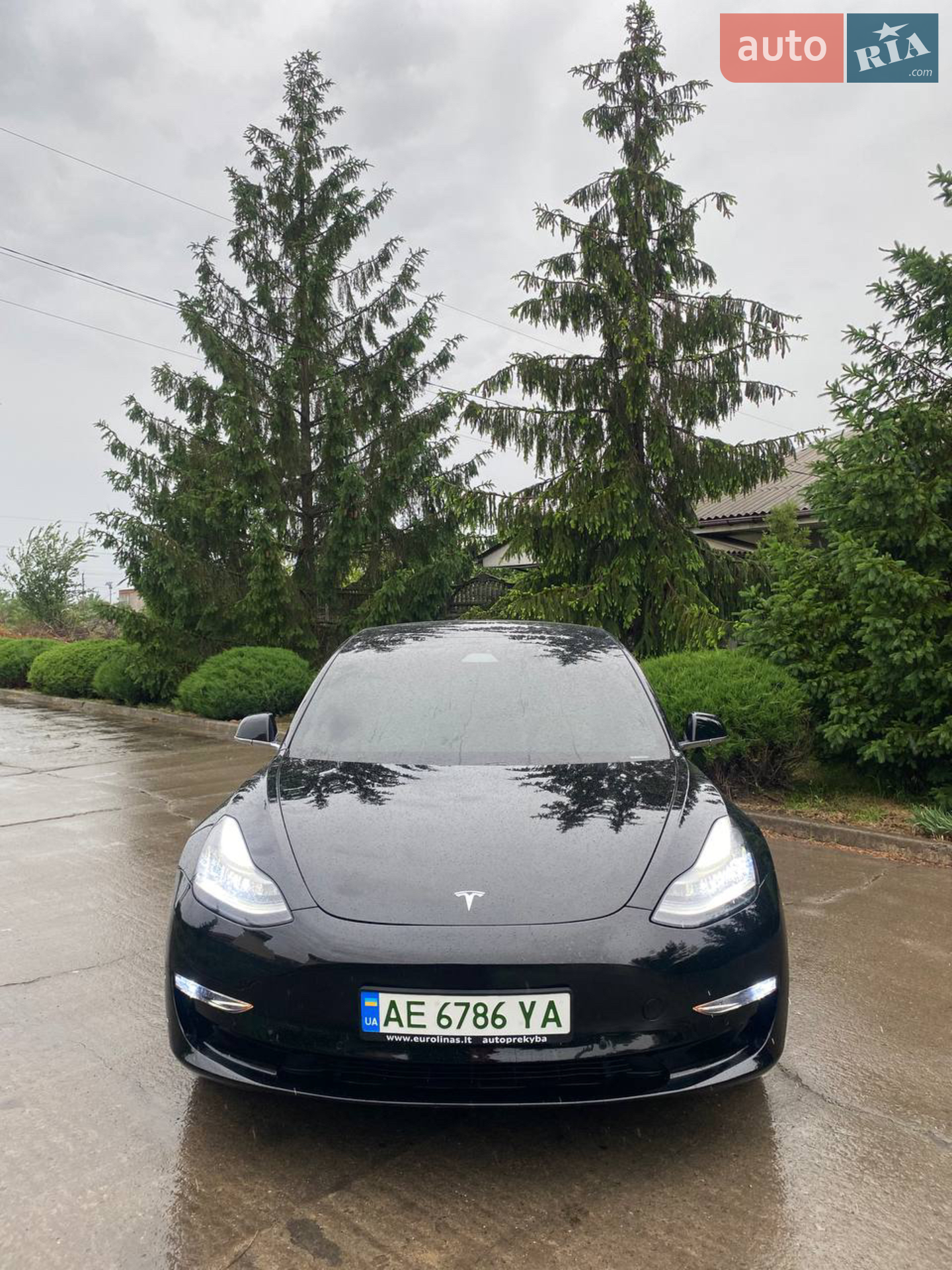 Tesla Model 3, 2019