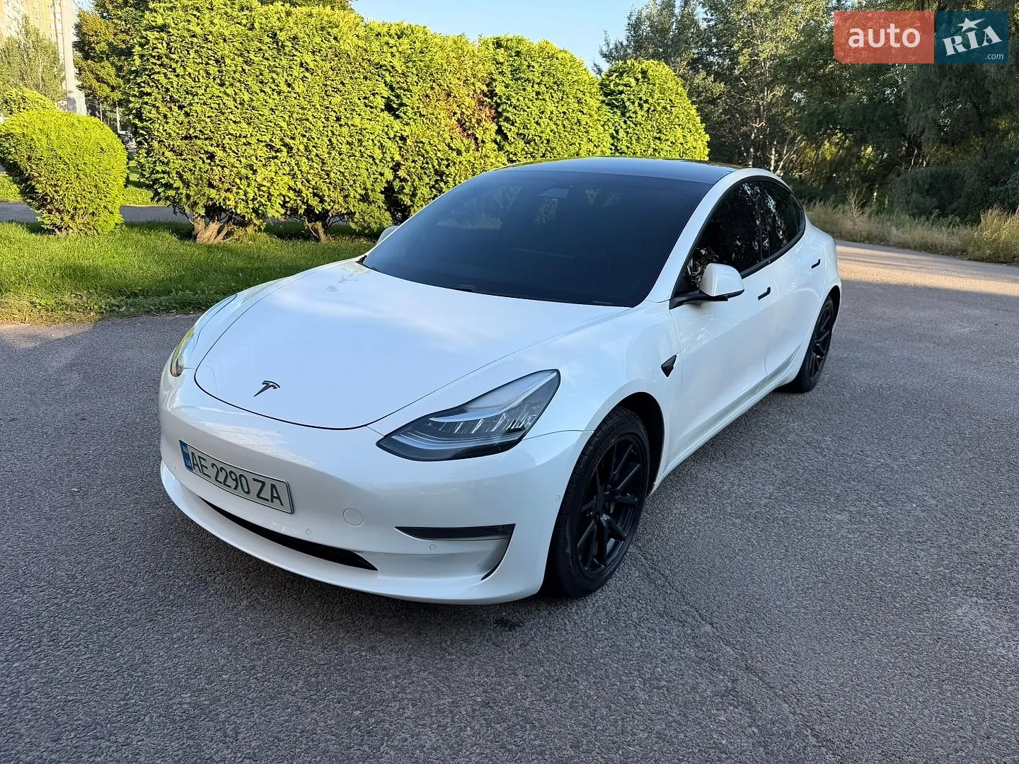 Tesla Model 3, 2019