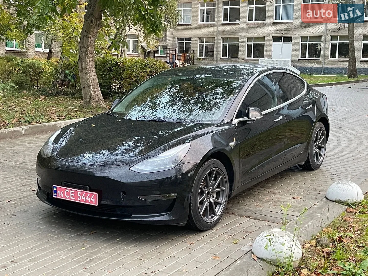 Tesla Model 3, 2019
