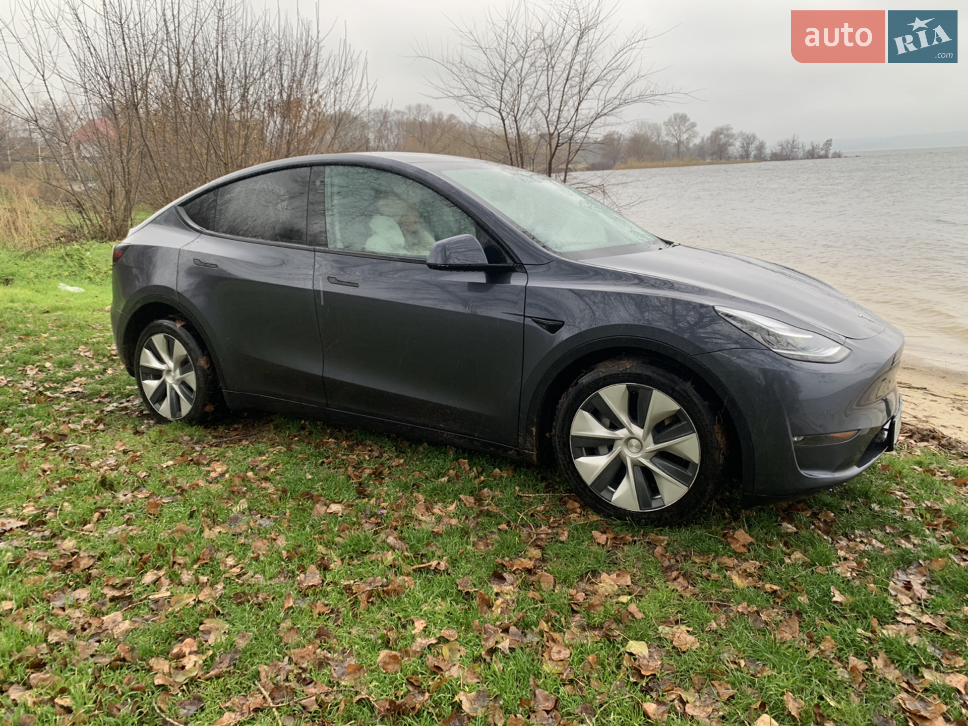Tesla Model Y, 2020
