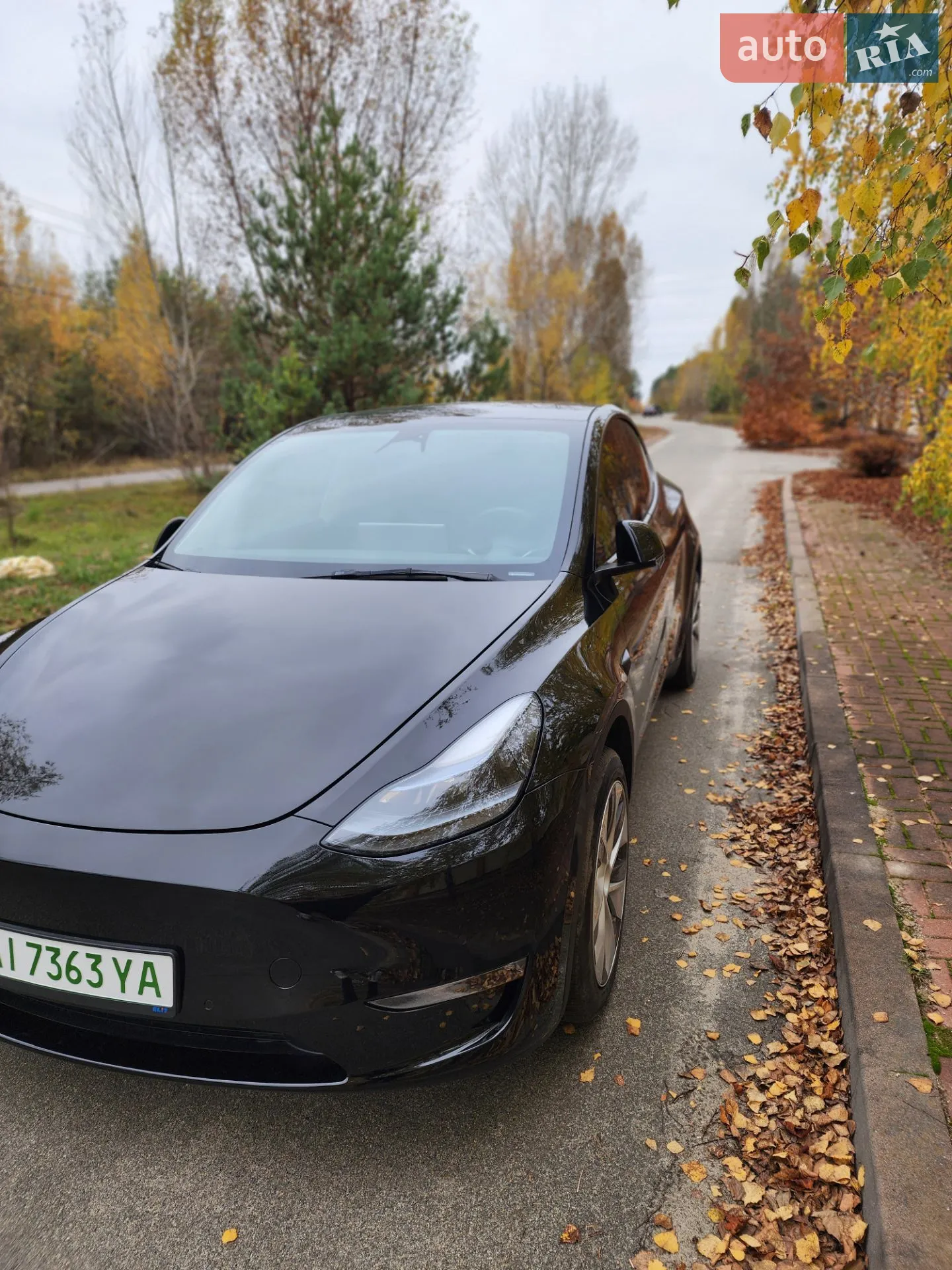 Tesla Model Y, 2022