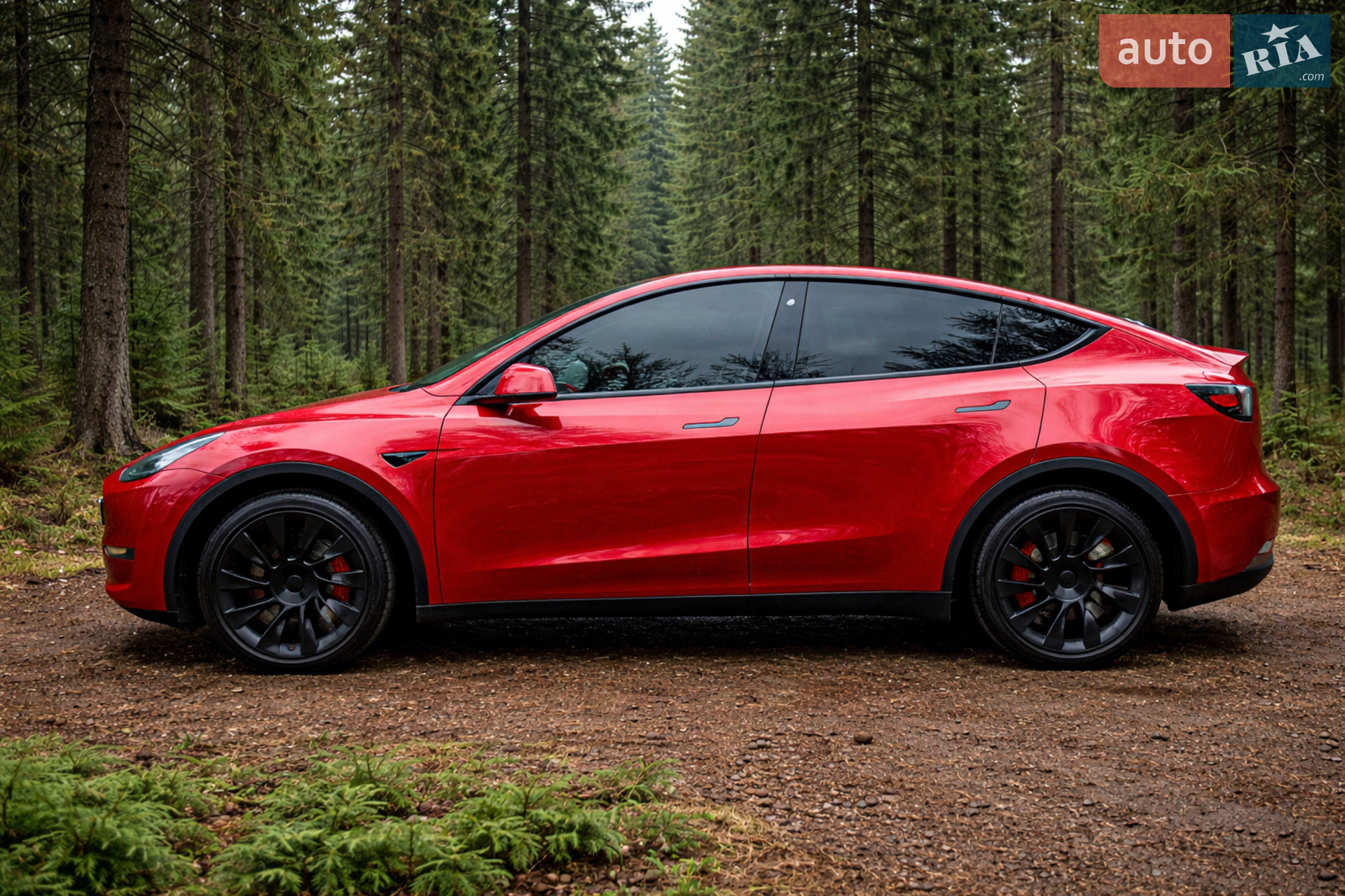 Tesla Model Y, 2020