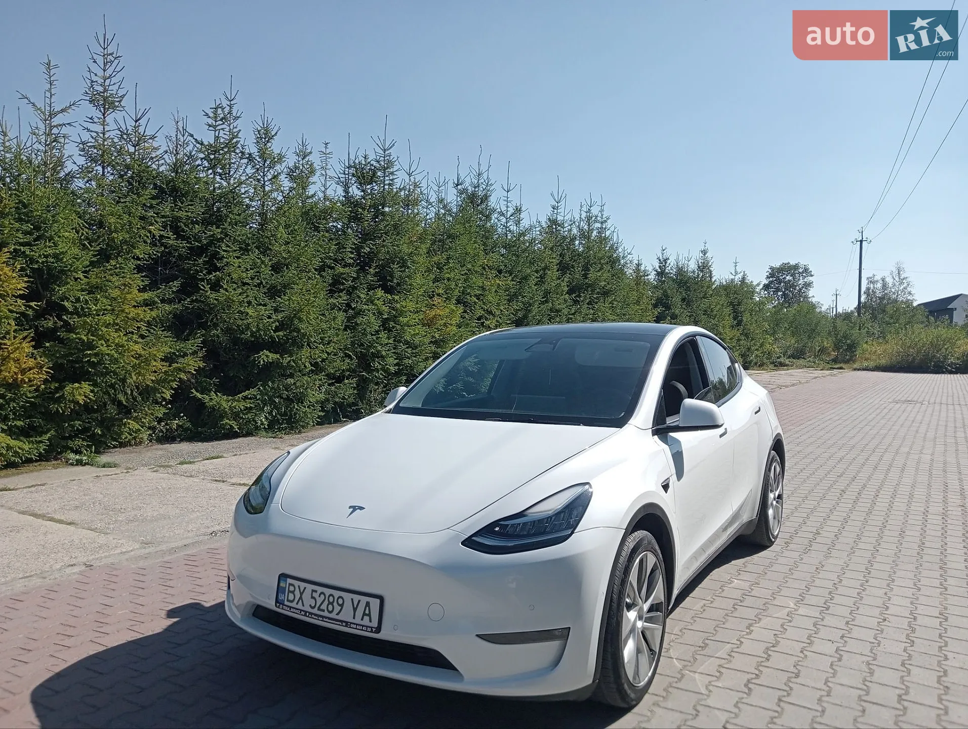 Tesla Model Y, 2021