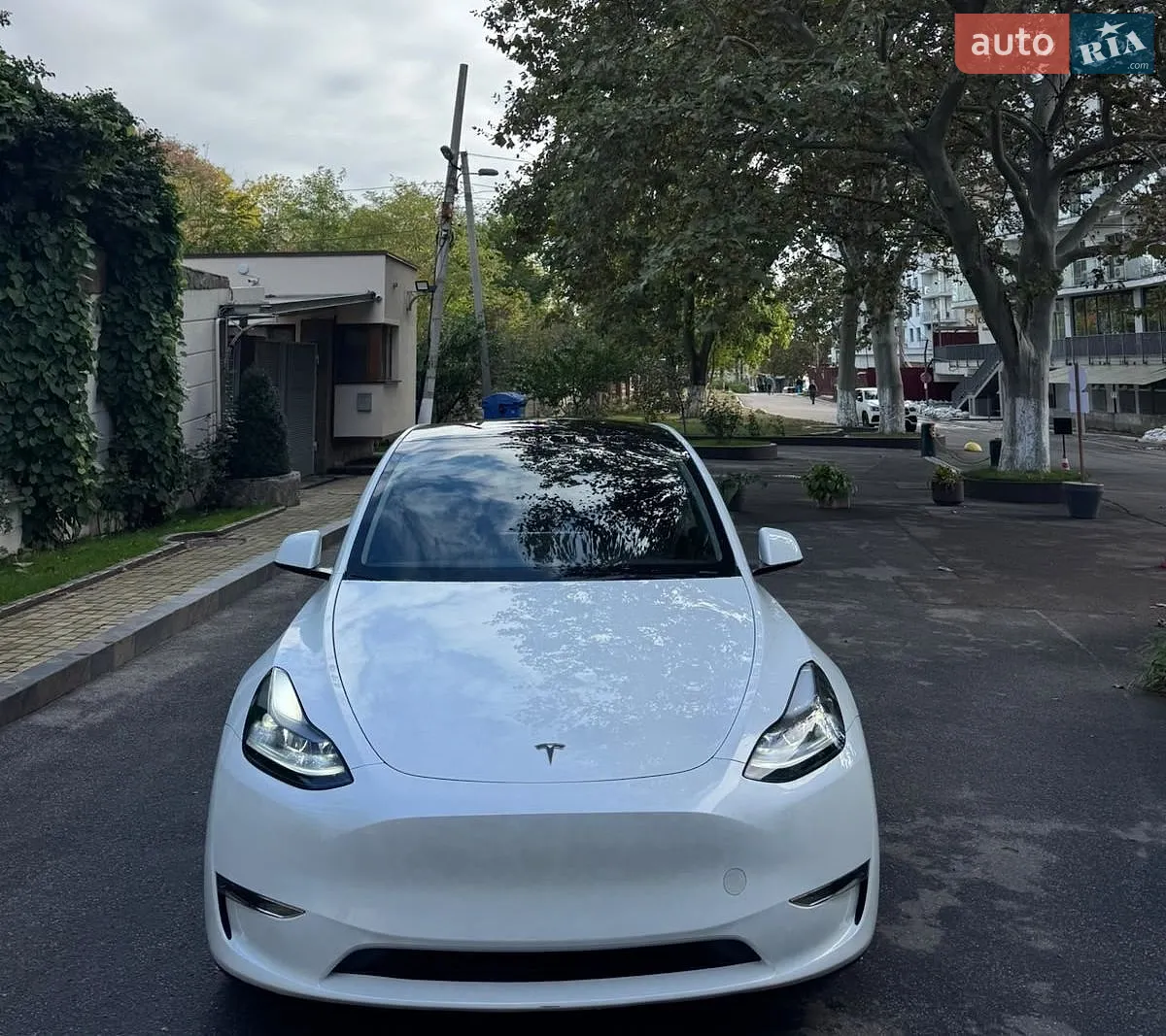 Tesla Model Y, 2024