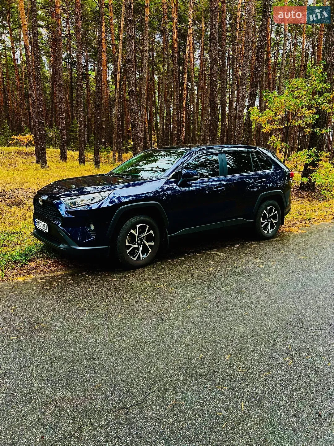 Toyota RAV4, 2019