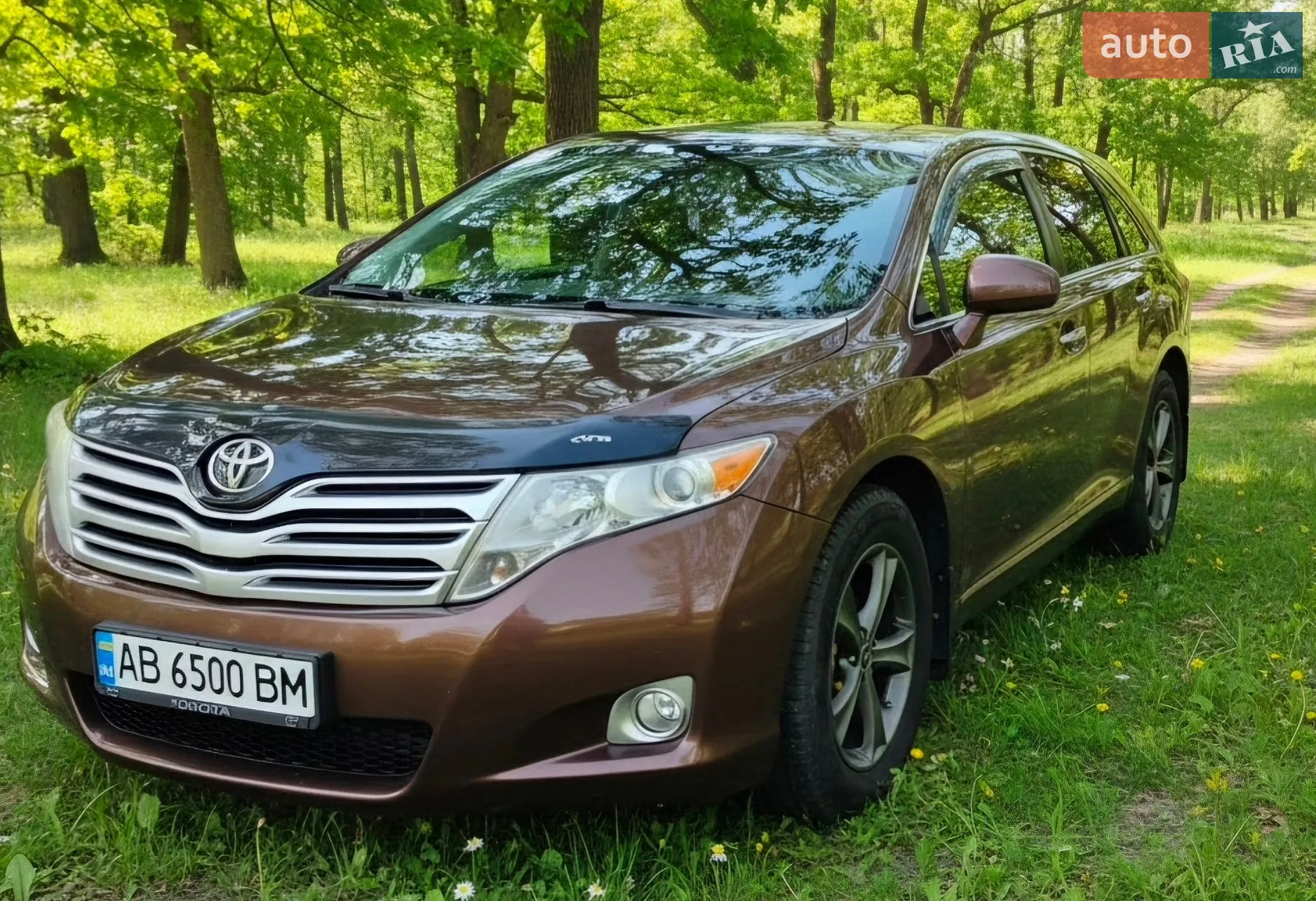 Toyota Venza, 2010
